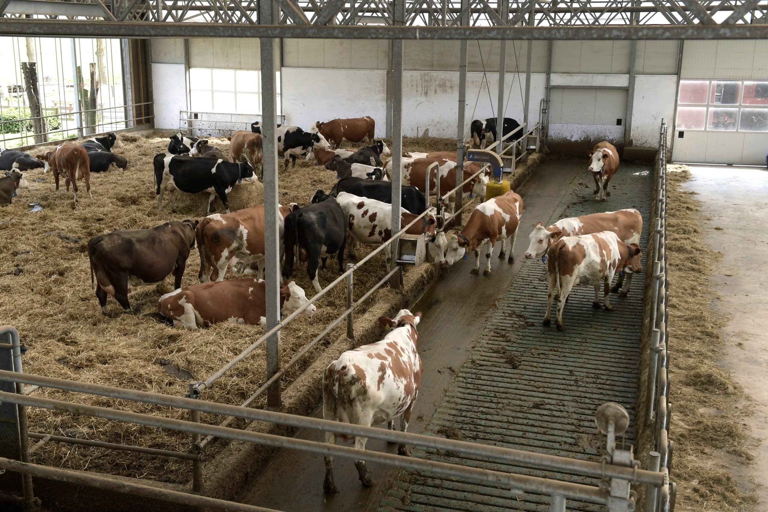 Sinds de invoering van het Besluit emissiearme huisvesting (Beh) in 2015 mag het potstalsysteem niet meer met toepassing van de MIA en Vamil worden gebouwd. Foto: Fotopersbureau Dijkstra