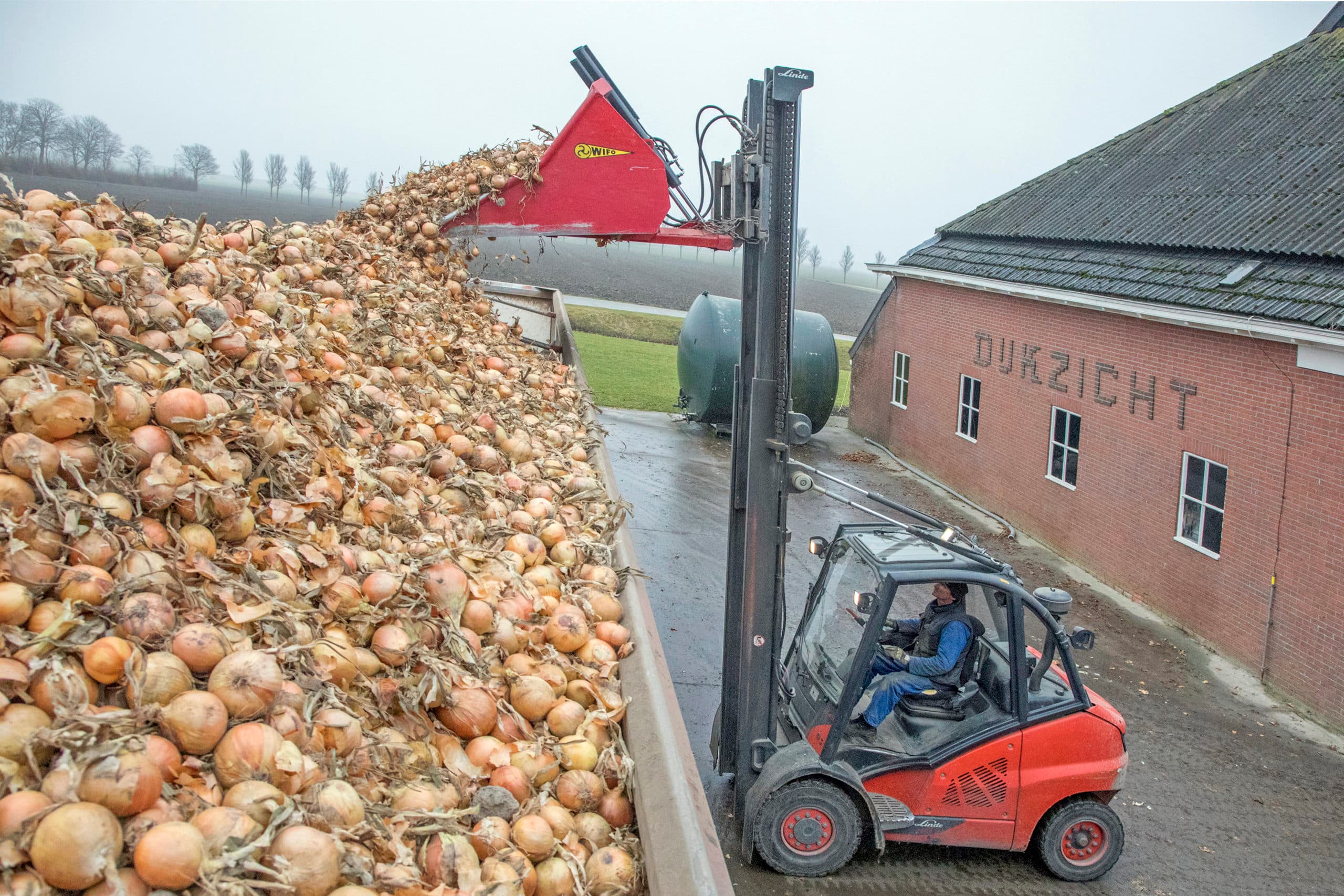 Foto: Koos van der Spek