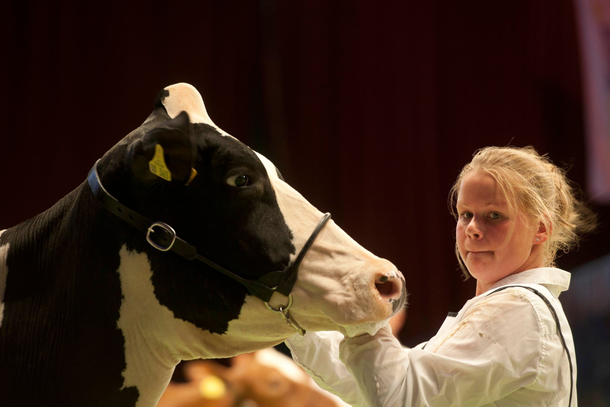 Inzenders hebben veel tijd, aandacht en geld in de presentatie van de dochtergroepen gegeven en dat is te zien. Foto's: Mark Pasveer