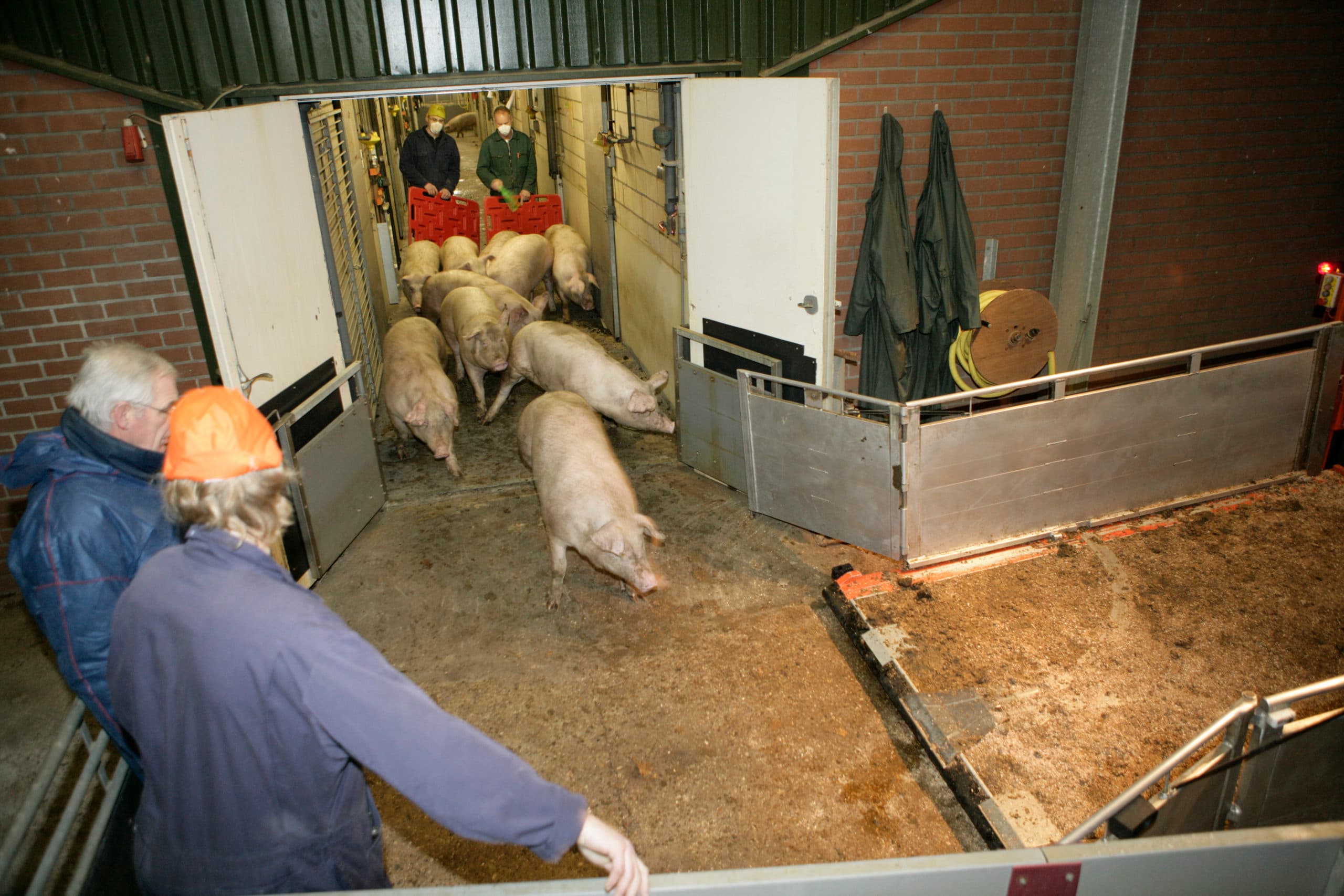 Foto: Henk Riswick