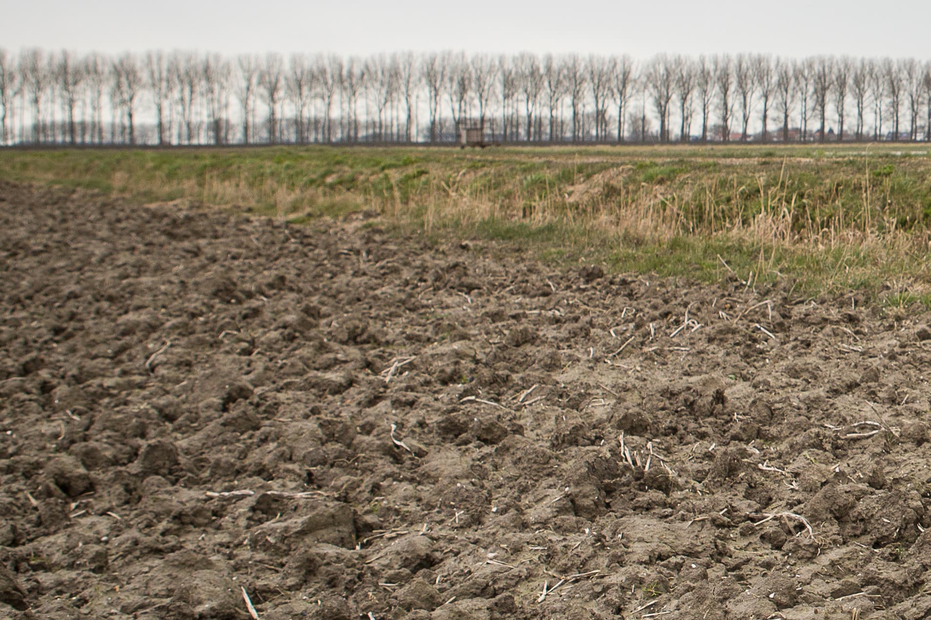 Foto: Peter Roek
