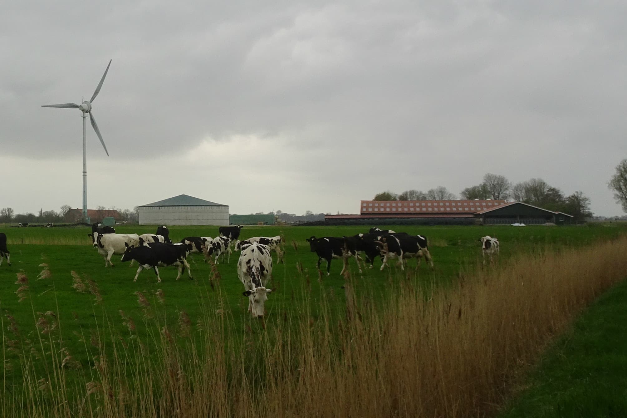 Foto: Theo Brummelaar