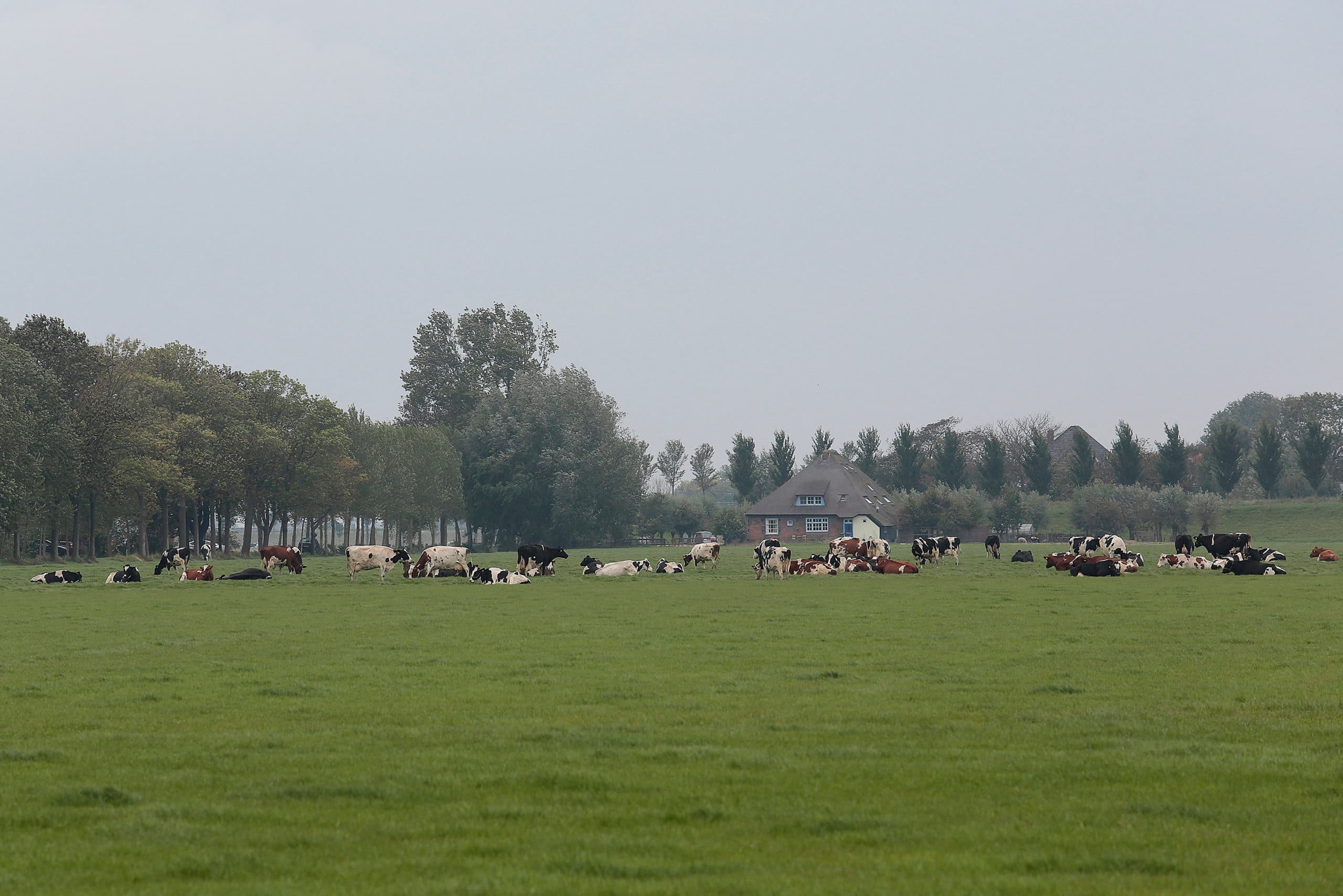 Foto: Ton Kastermans Fotografie