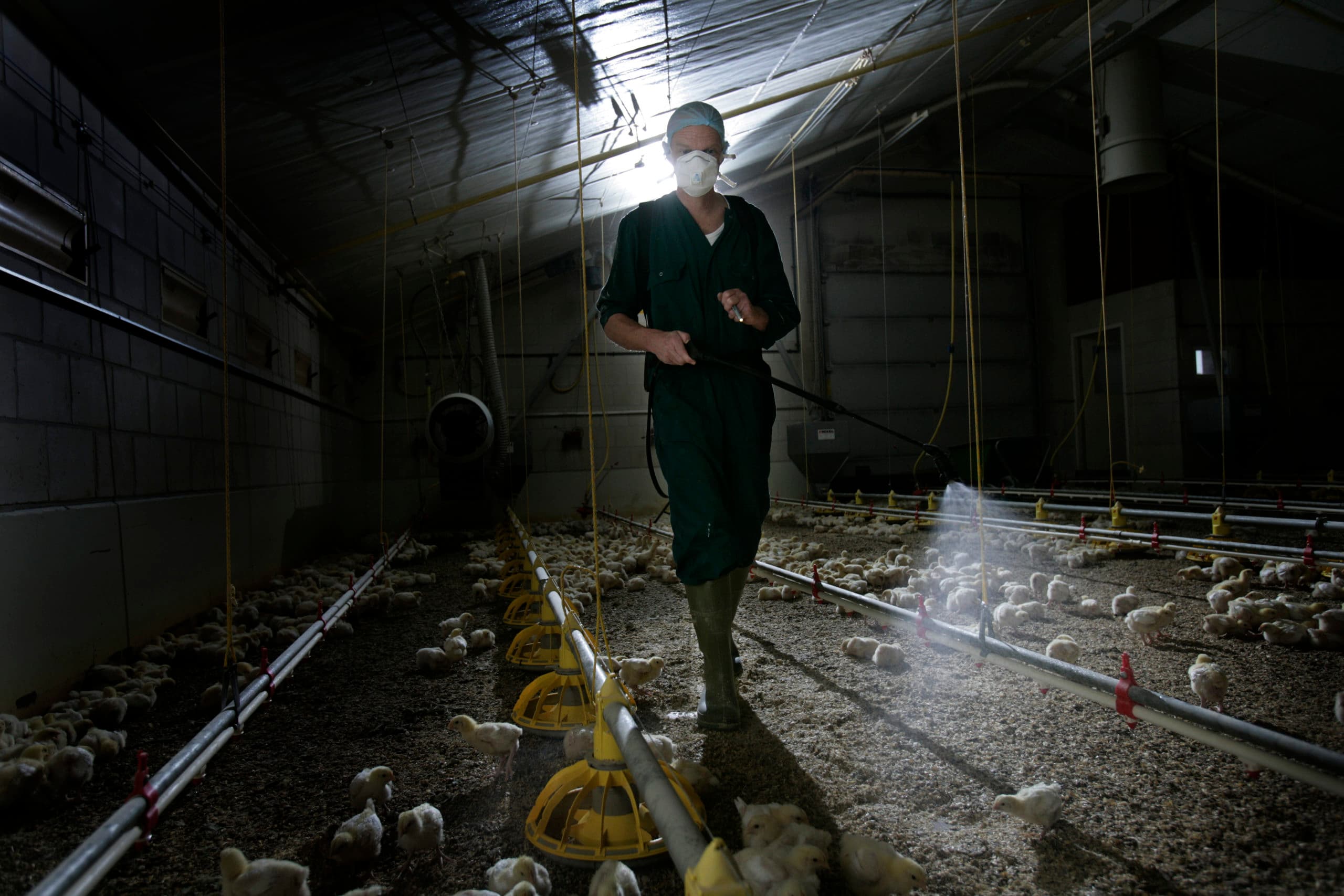 Foto: Jan Willem Schouten