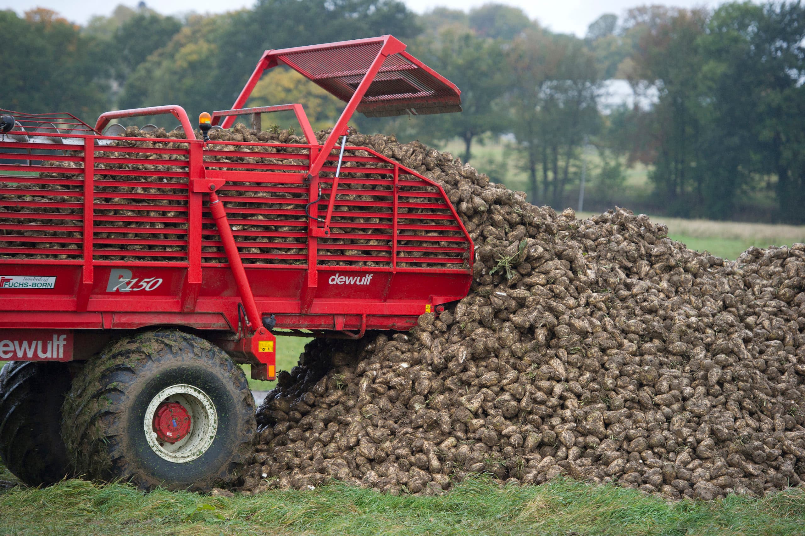 Foto: Marcel van Hoorn