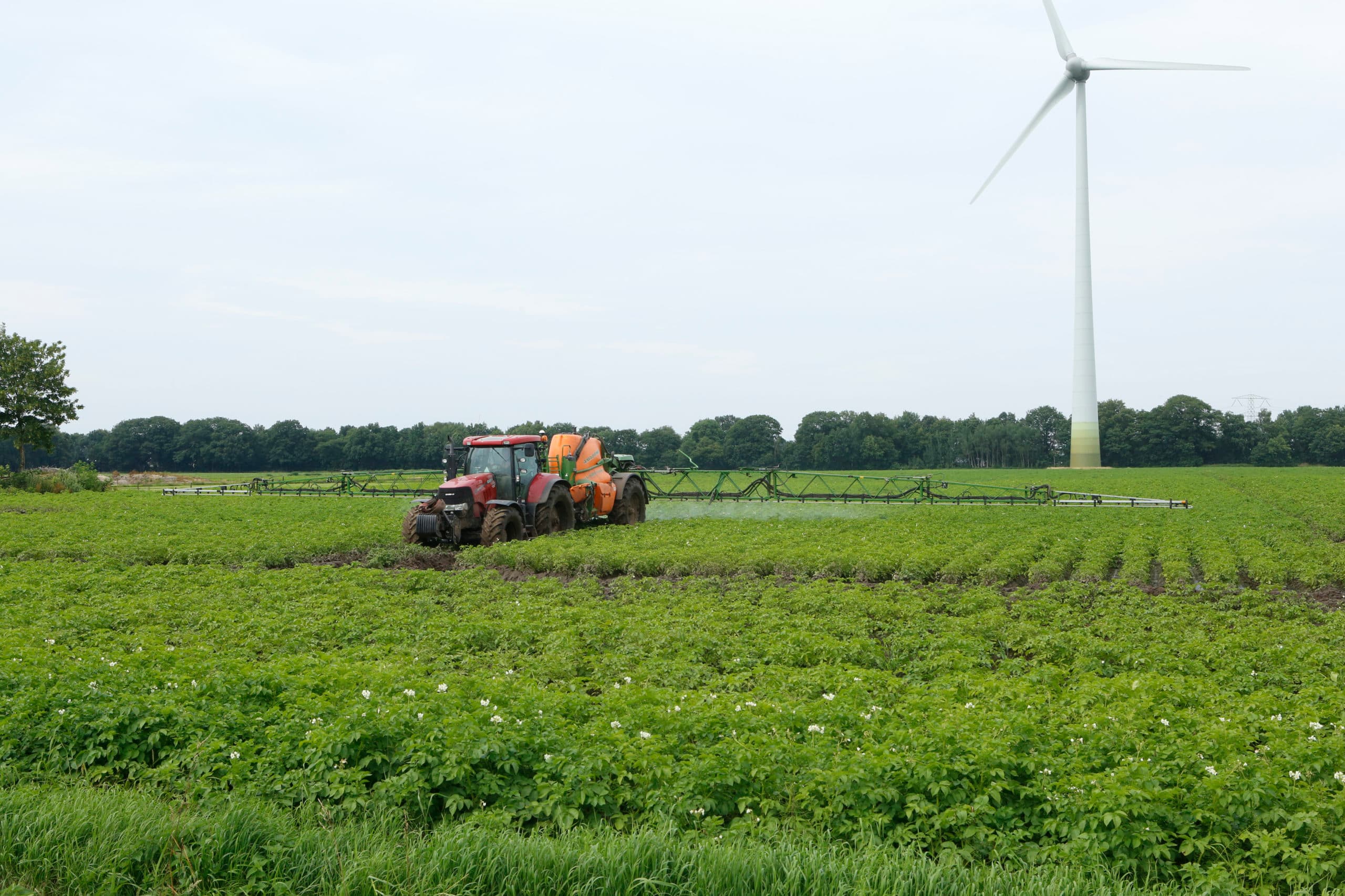 Foto: Henk Riswick