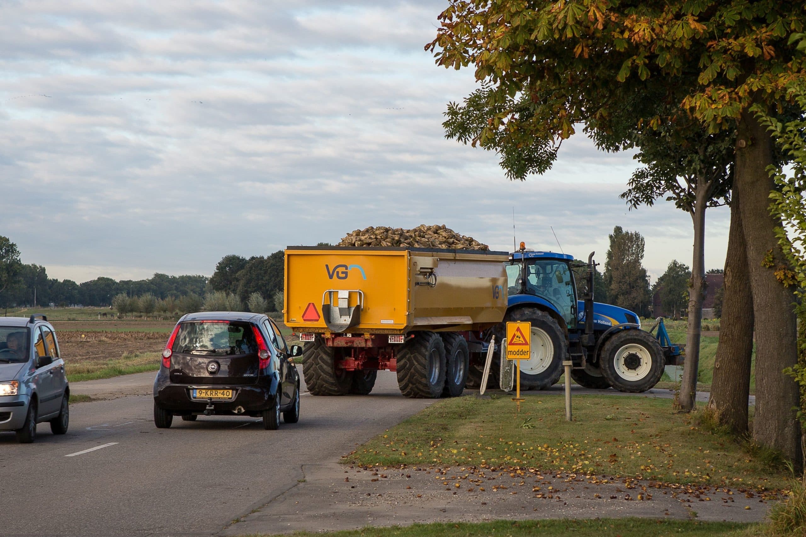 Foto: Peter Roek