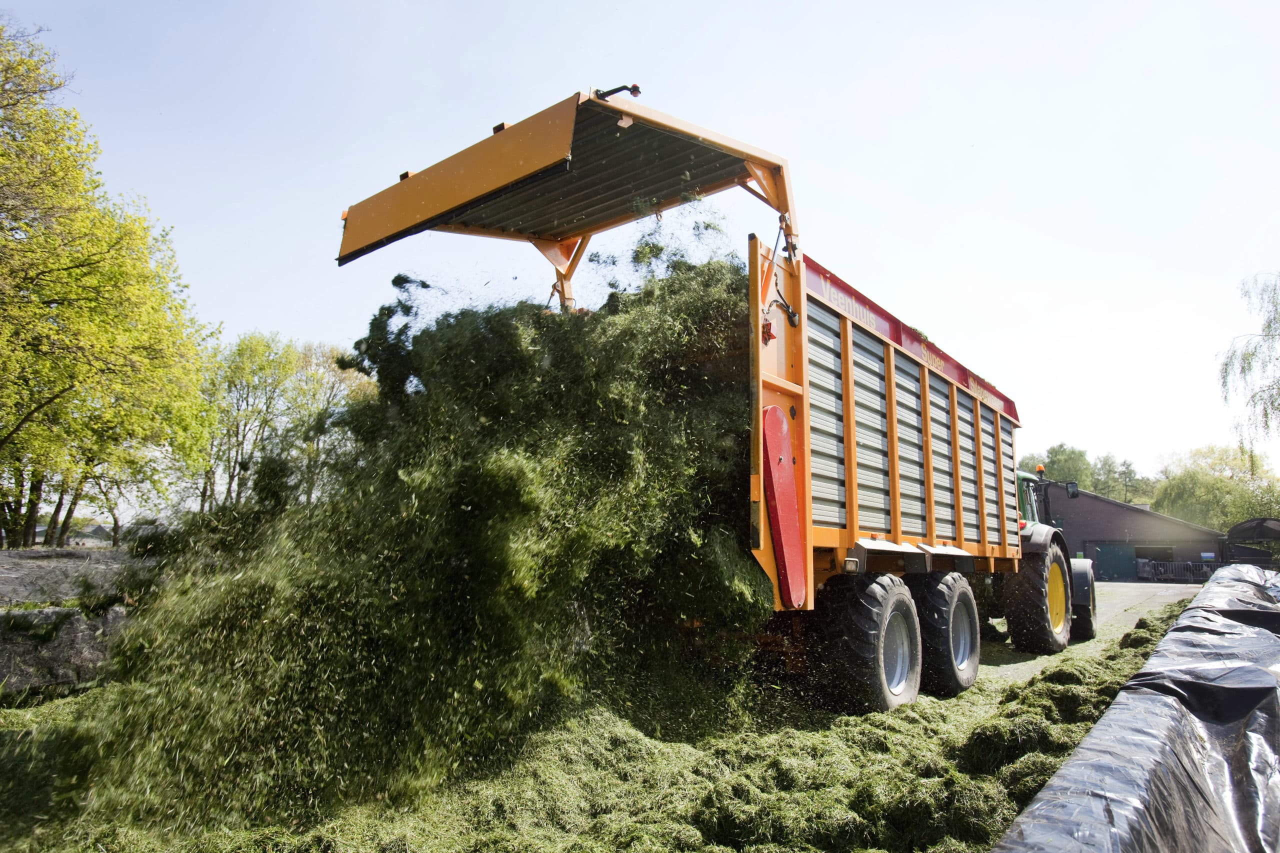 Een goed mengsel van rassen en soorten is de basis voor een kwalitaitief en kwantitatef goede opbrengst van grasland. Foto: Jan Willem Schouten