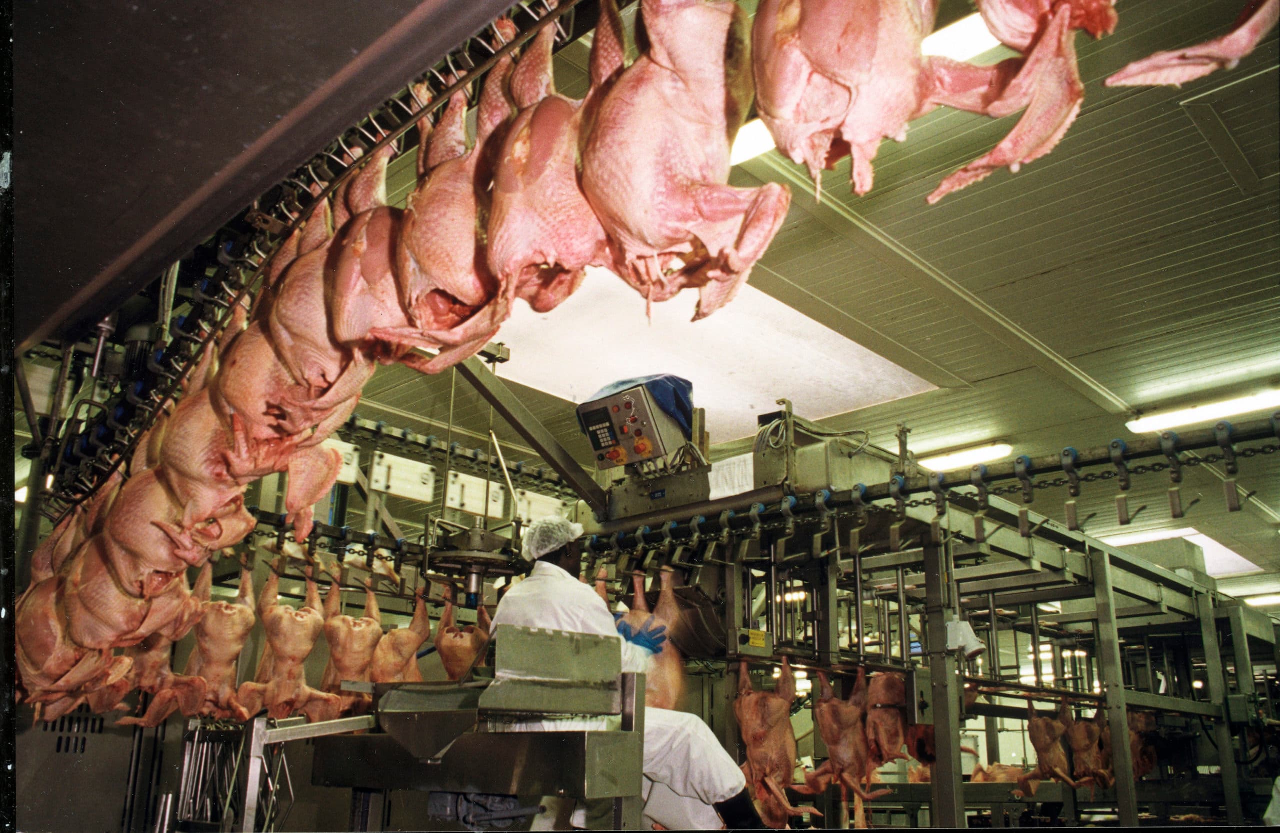 Foto: Ger Thijssen