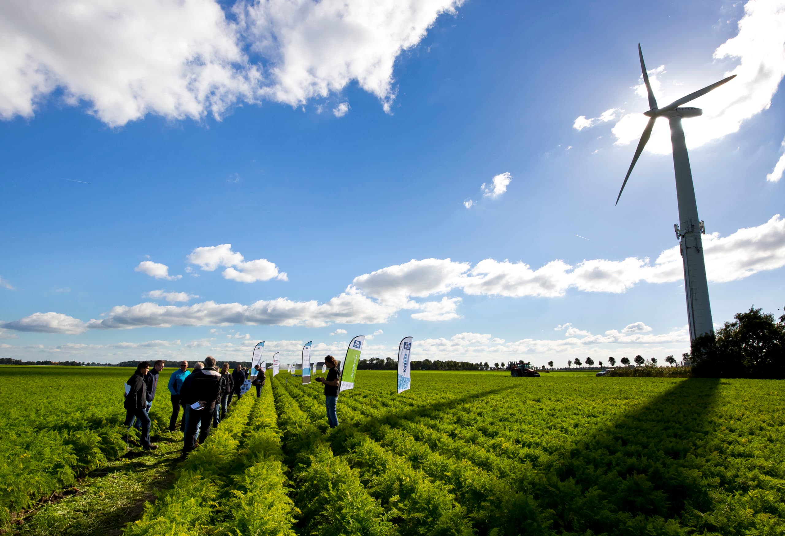 De open middag van Delphy Quality Carrots vorig najaar. Dit jaar wordt de dag groter opgezet, samen met het Peenplatform. Foto: Ruud Ploeg