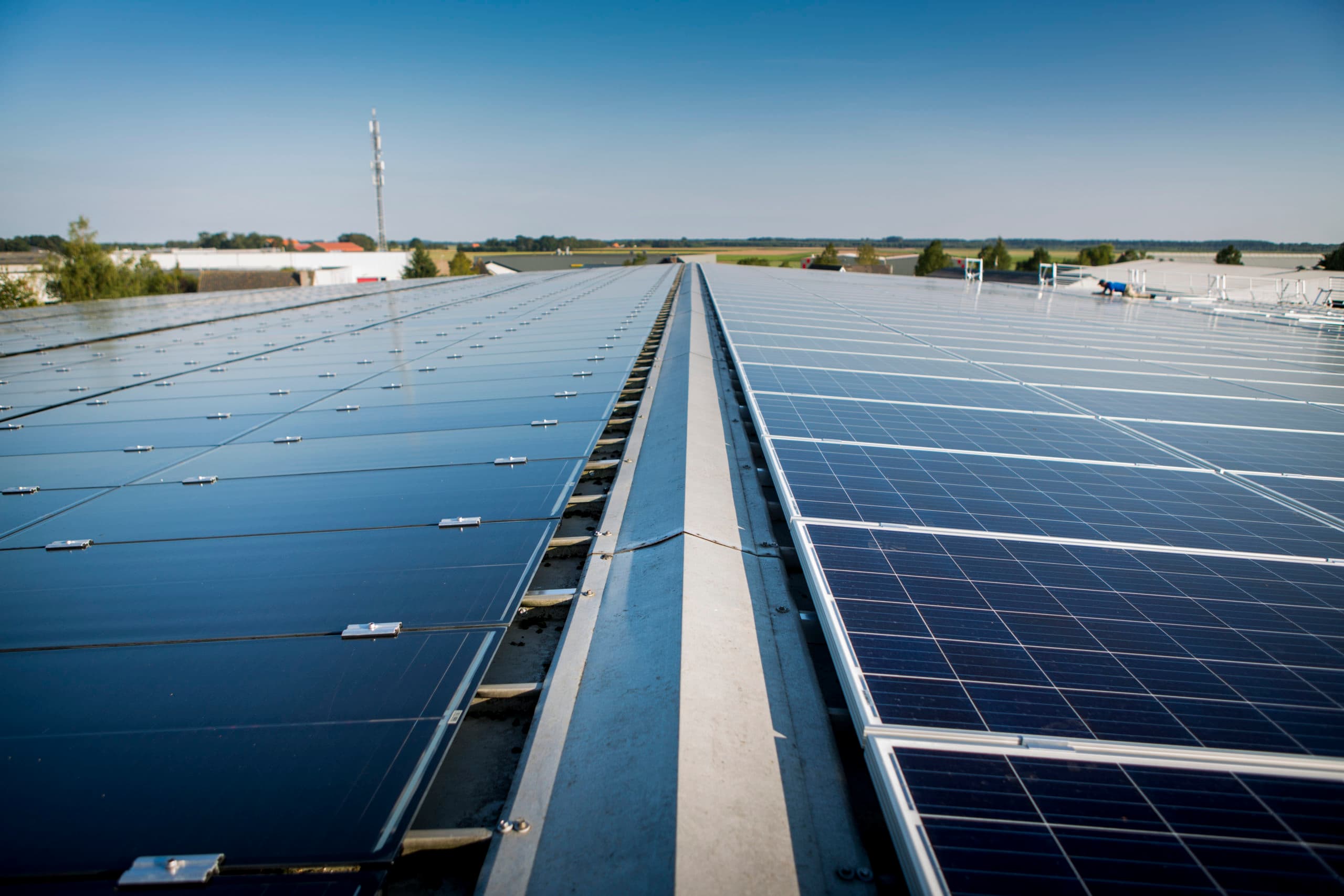 Zonnepanelen op agrarisch bedrijf in Flevoland. - Foto: René den Engelsman