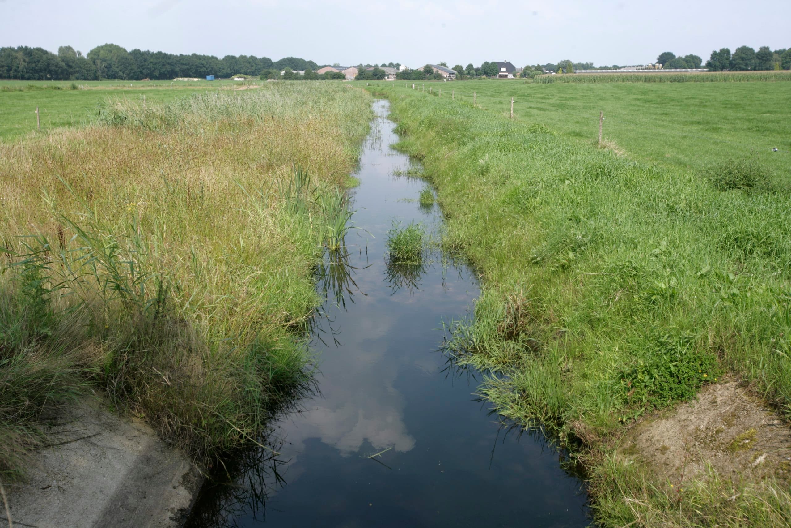 Fosfaat en nitraat spelen een belangrijke rol in milieumetwegving. - Foto: Michel Zoeter