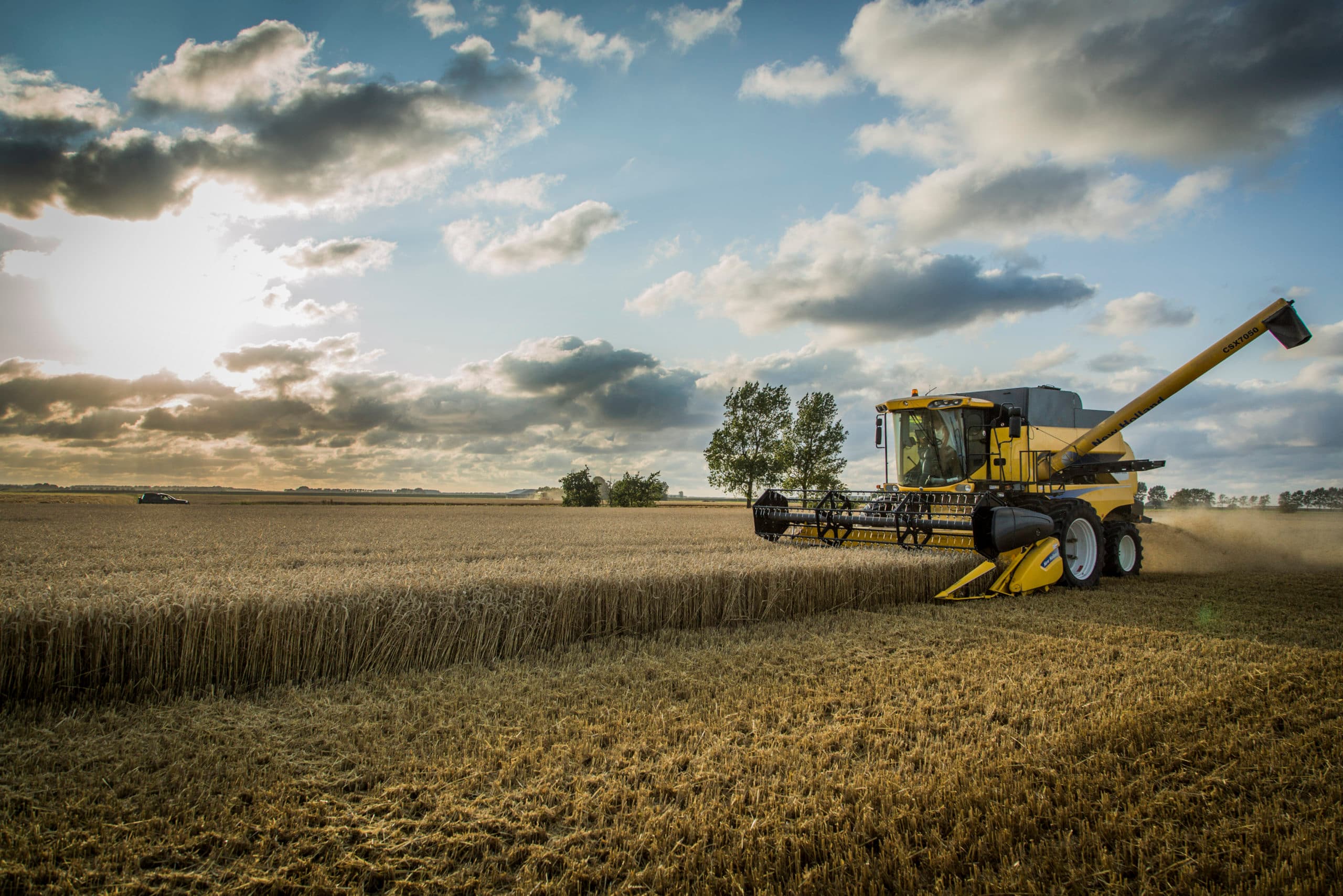 Foto: Koos Groenewold