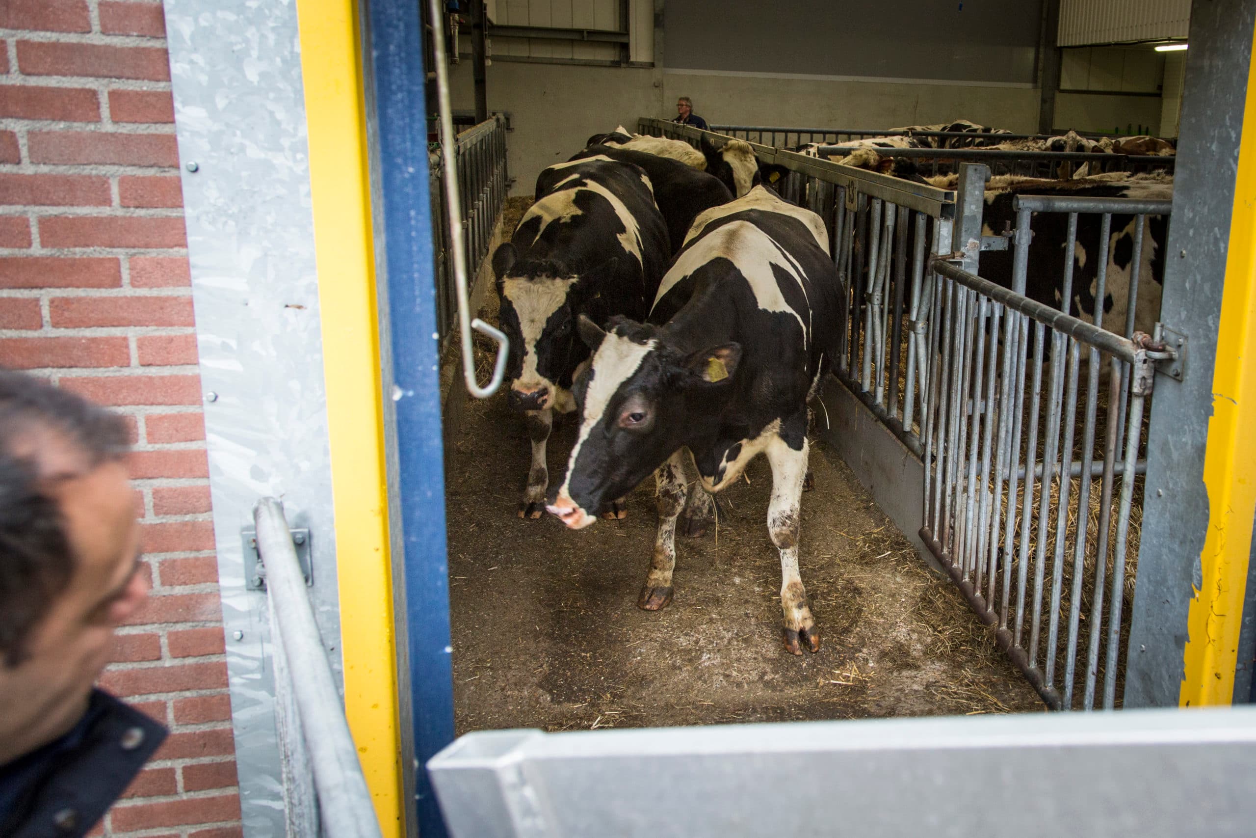 Foto: Koos Groenewold