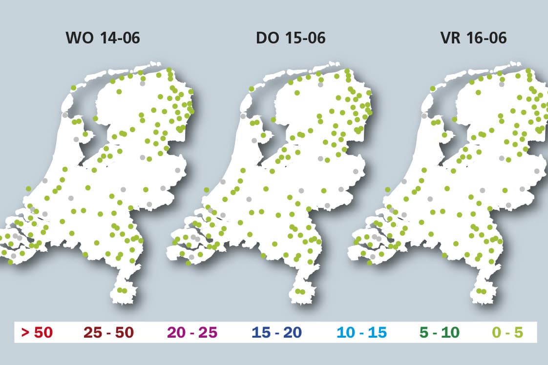 Weinig kans op phytophthora