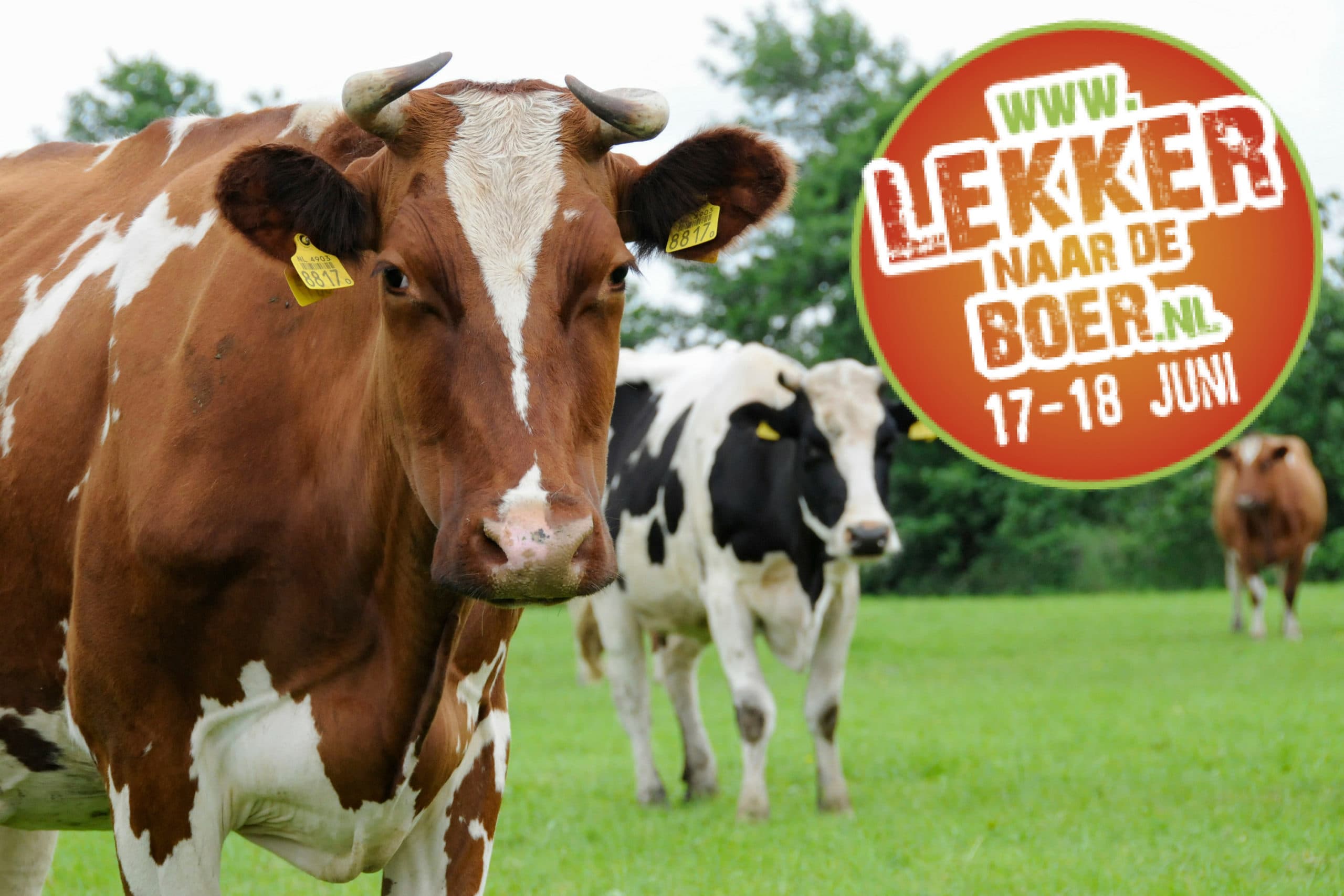 Foto: Marten Sandburg Fotografie, logo: lekkernaardeboer.nl