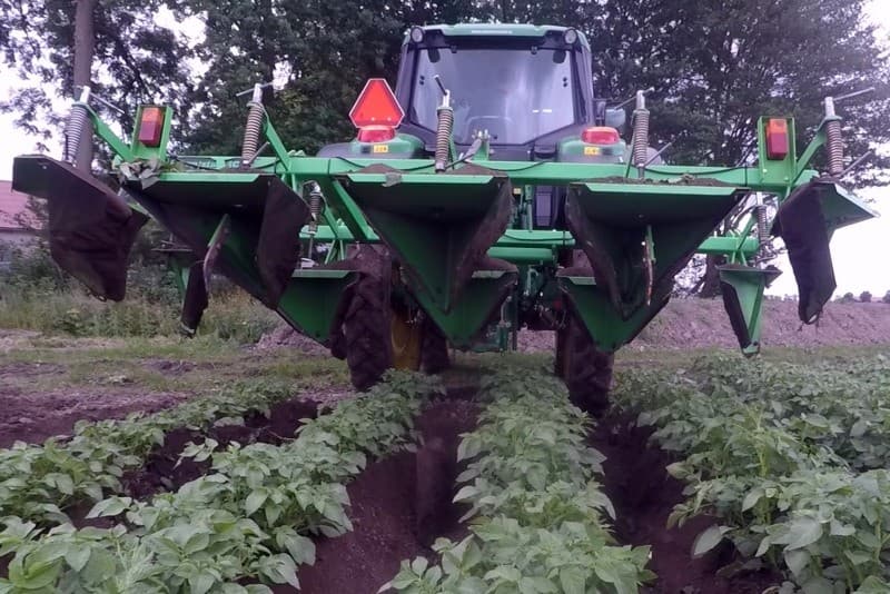 Een mooie suikerbiet van Herman Campmans in Dronten. Het 6 hectare grote perceel Florena is op 16 maart gezaaid.