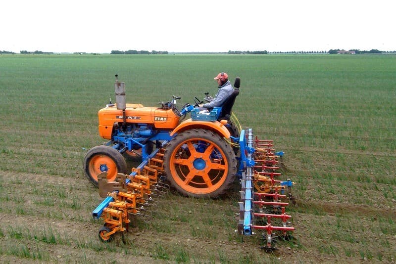 Een pol Sinora-pootaardappelen geeft al een mooi beeld van de zetting. De selectie is al in volle gang, Hellinga kwam nog geen bijzonderheden tegen.