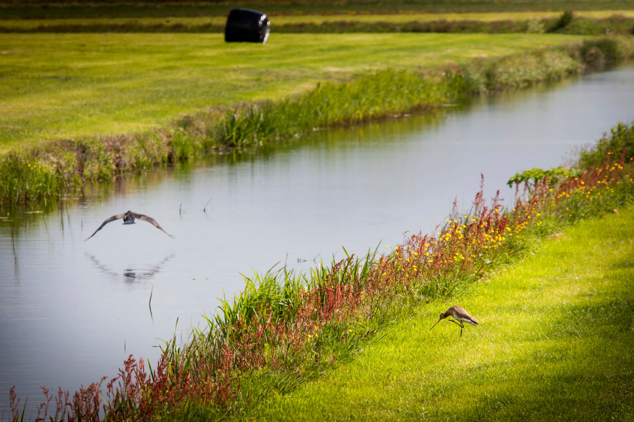 Waterschap Hunze en Aa's kondigt strengere controles aan. - Foto: René den Engelsman