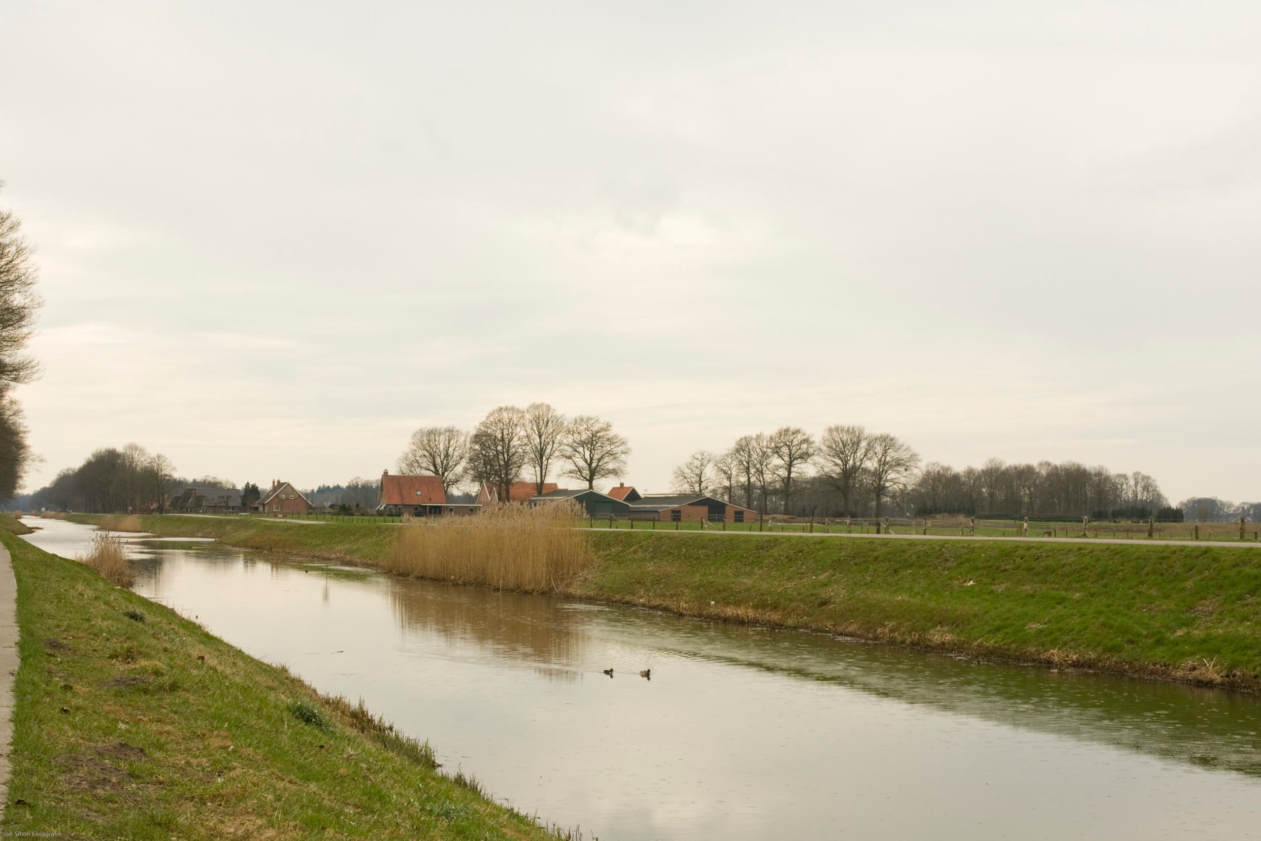 n de Twentse melkveeregio Noord-Deurningen is in 2012 een kavelruil met succes afgerond. - Foto: Jan Sibon