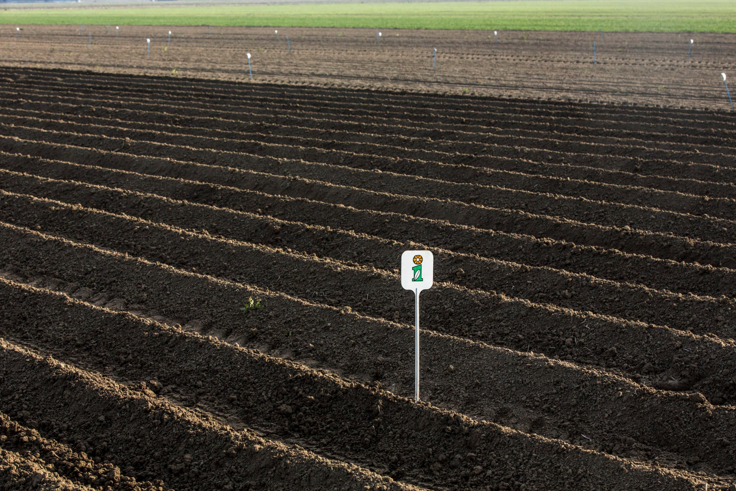 Foto: Koos Groenewold