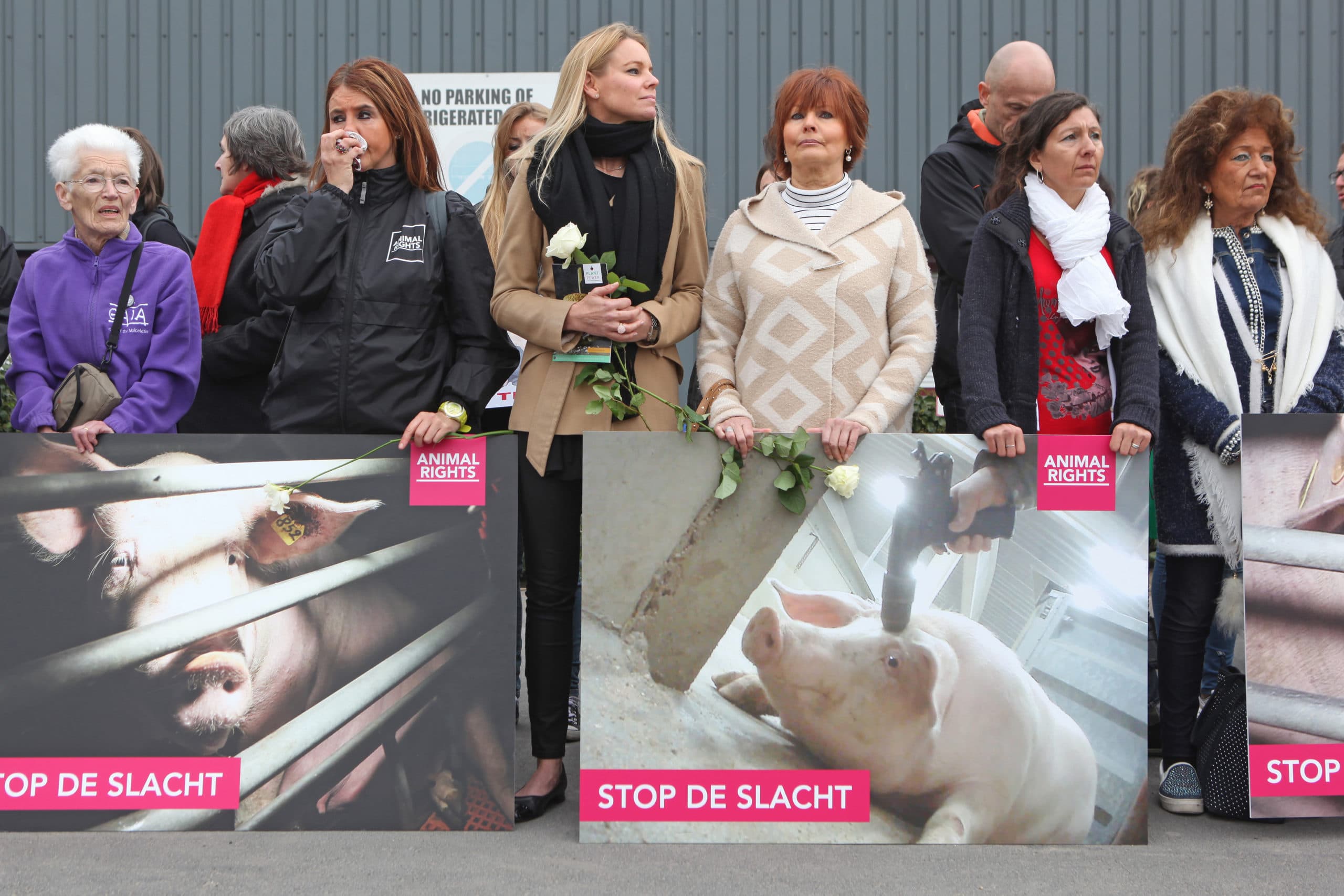 Protesten bij het slachthuis in Tielt vlak na het nieuws over de wantoestanden. - Foto: Fotostudio Atelier 68