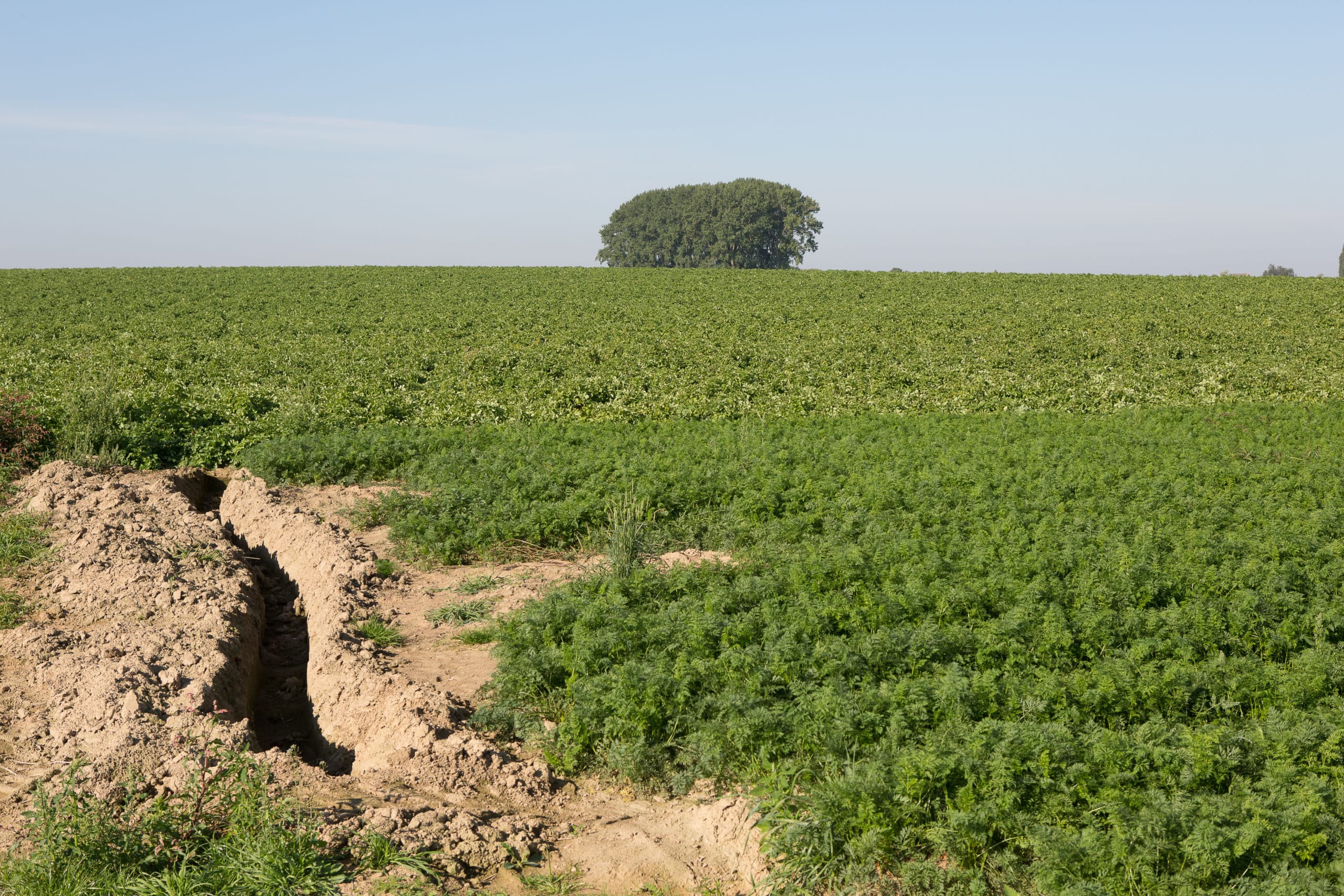 Akkerbouw in Noord-Frankrijk. Hoe gaat het (financieel) verder met het GLB? Frankrijk en Duitsland gaan zich erover buigen. - Foto: Peter Roek