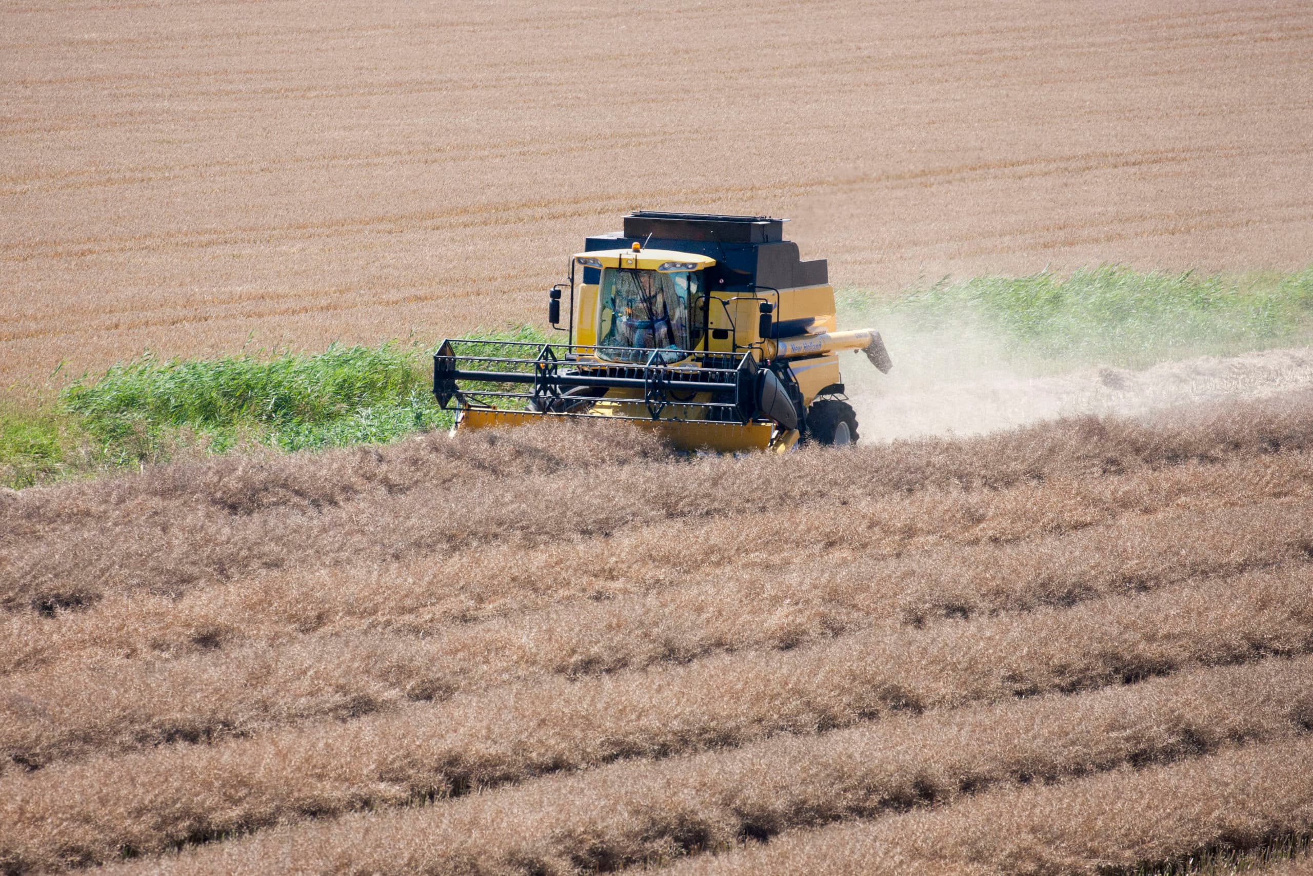 Foto: Koos van der Spek