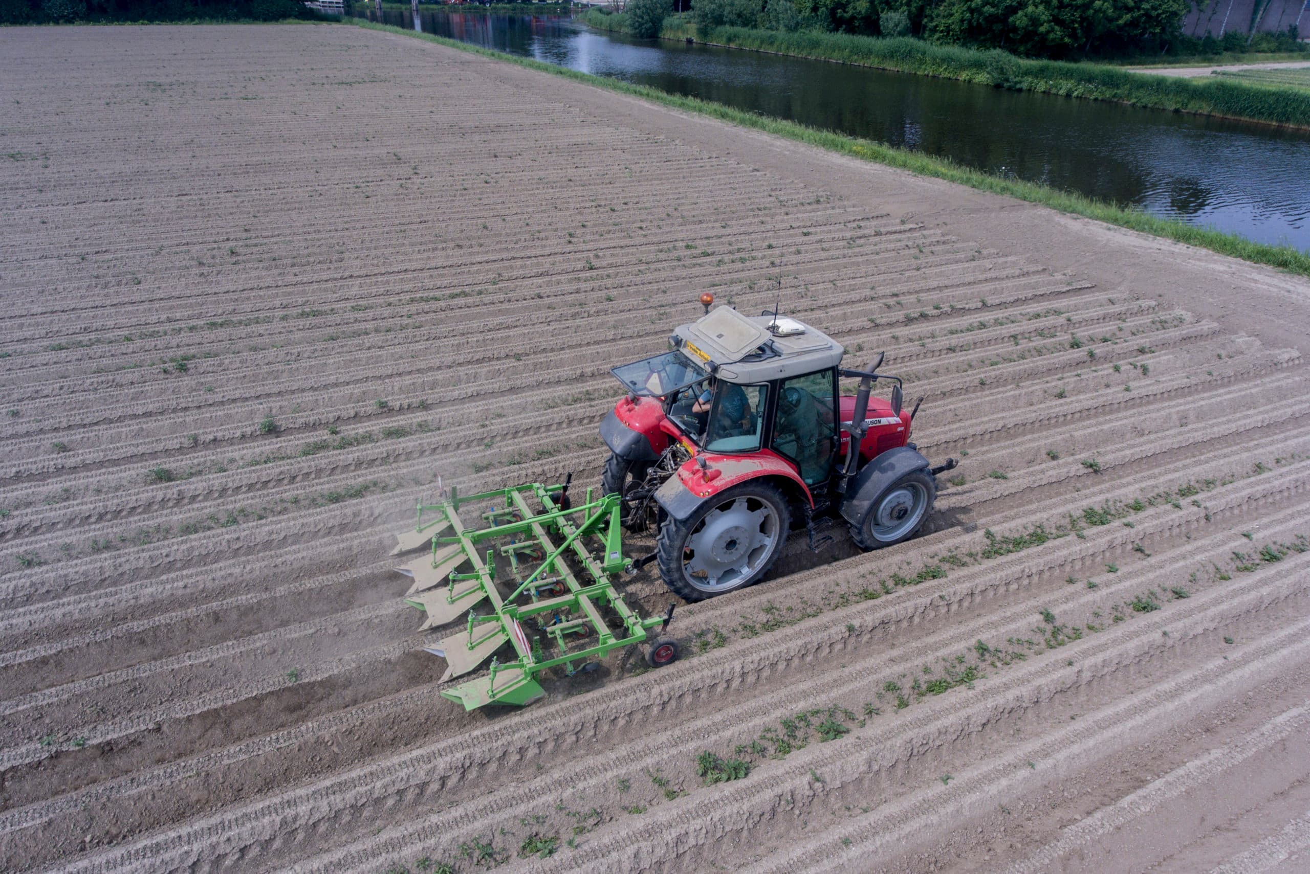 Het schoffelen van onkruid op een perceel peen van Poppe in Marknesse.  Onze peen en uien gaan voor 75% via Bakker Barendrecht naar Albert Heijn." Foto's: Sytze Bakker