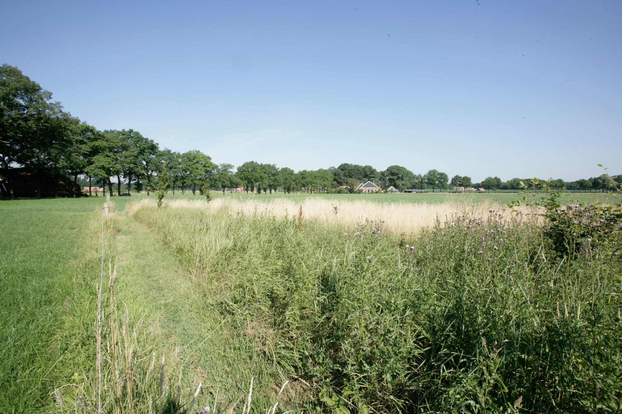 Nationaal Natuurnetwerk rond Winterswijk. - Foto: Henk Riswick