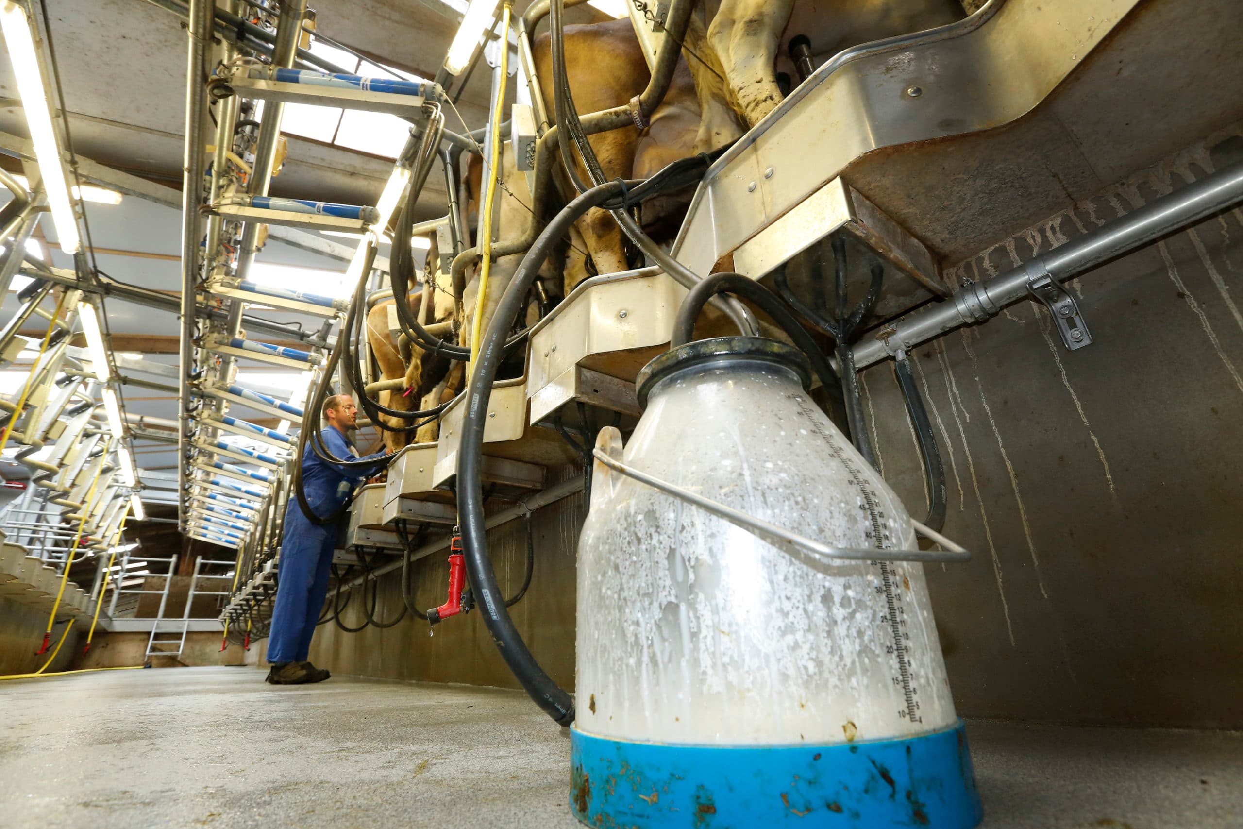 Foto: Henk Riswick