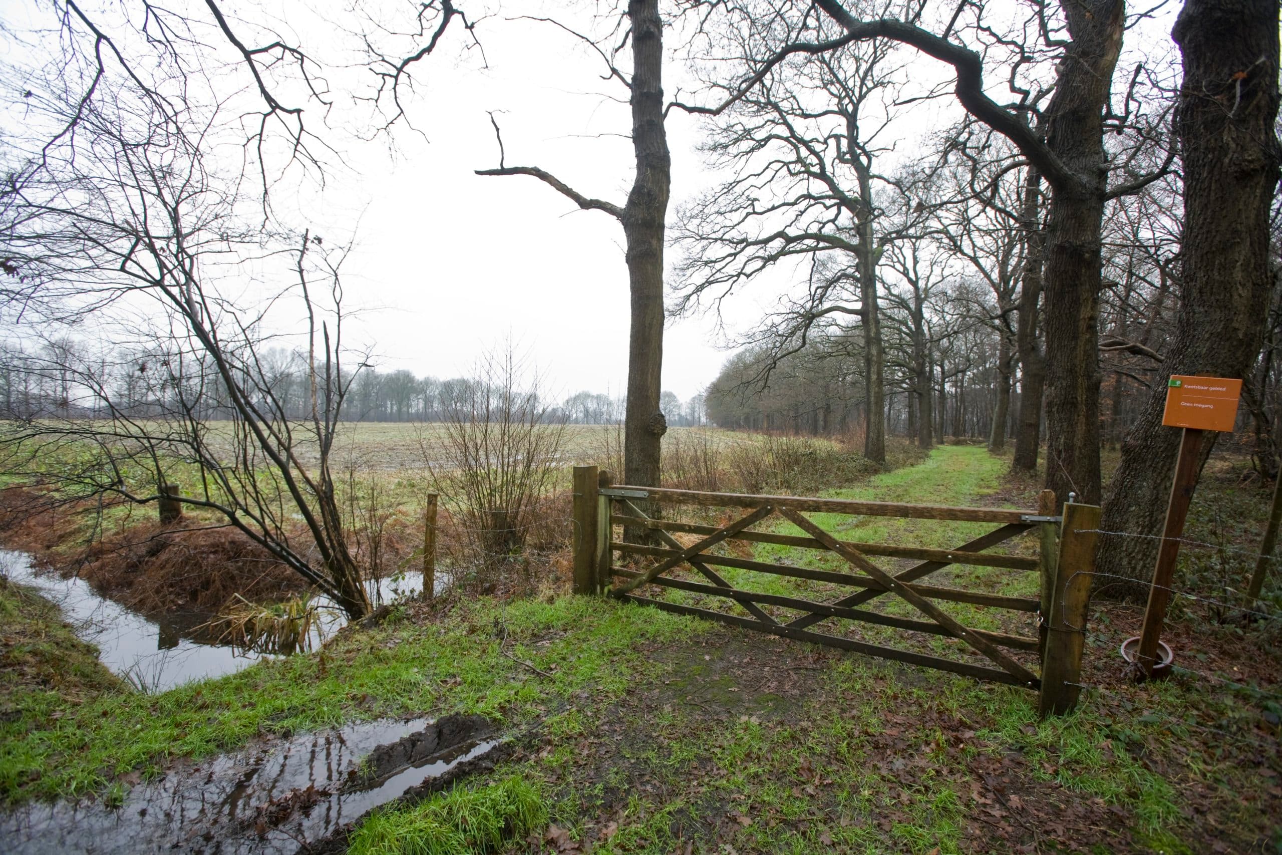 Foto: Koos Groenewold