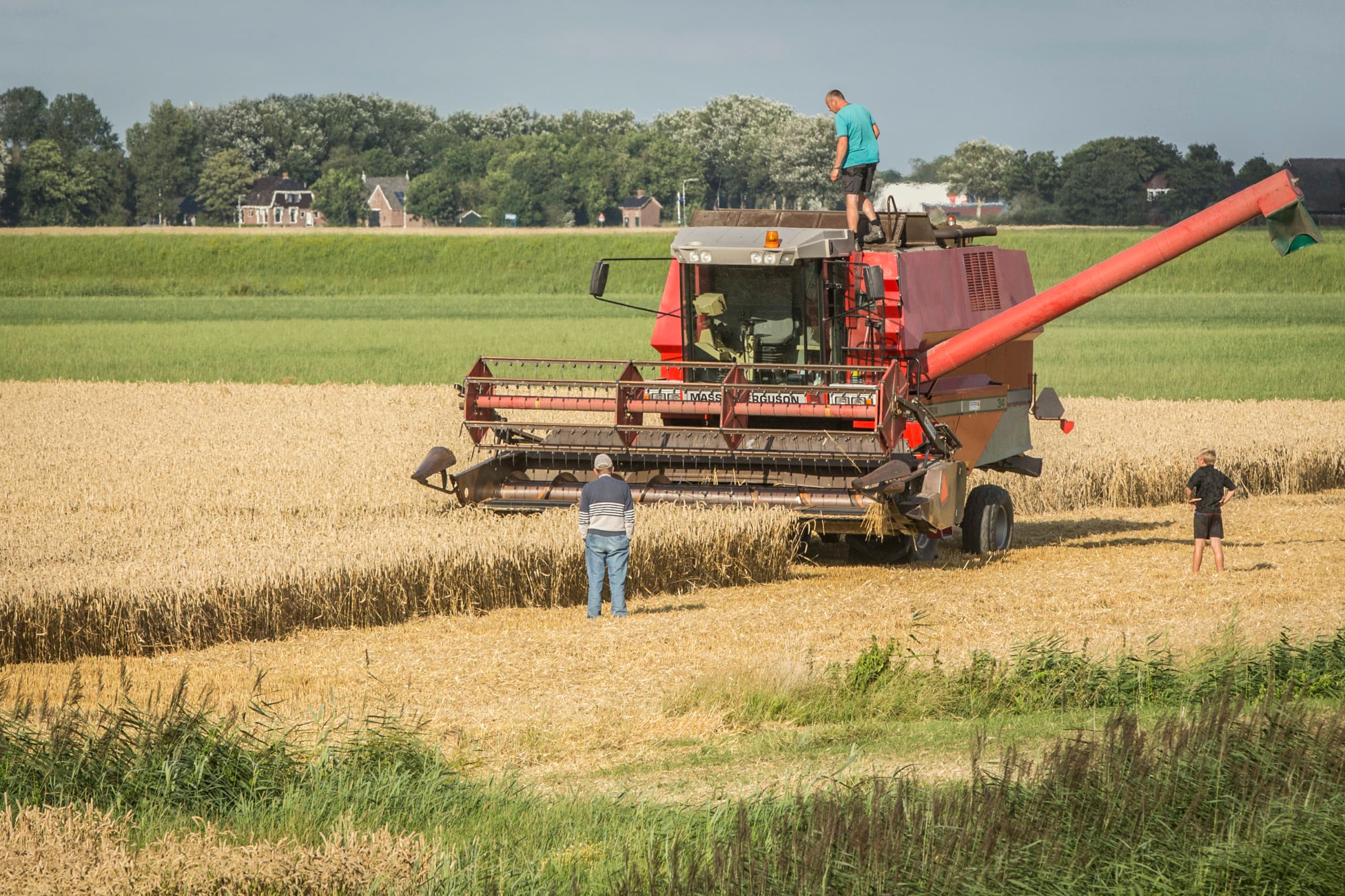 Foto: Koos Groenewold