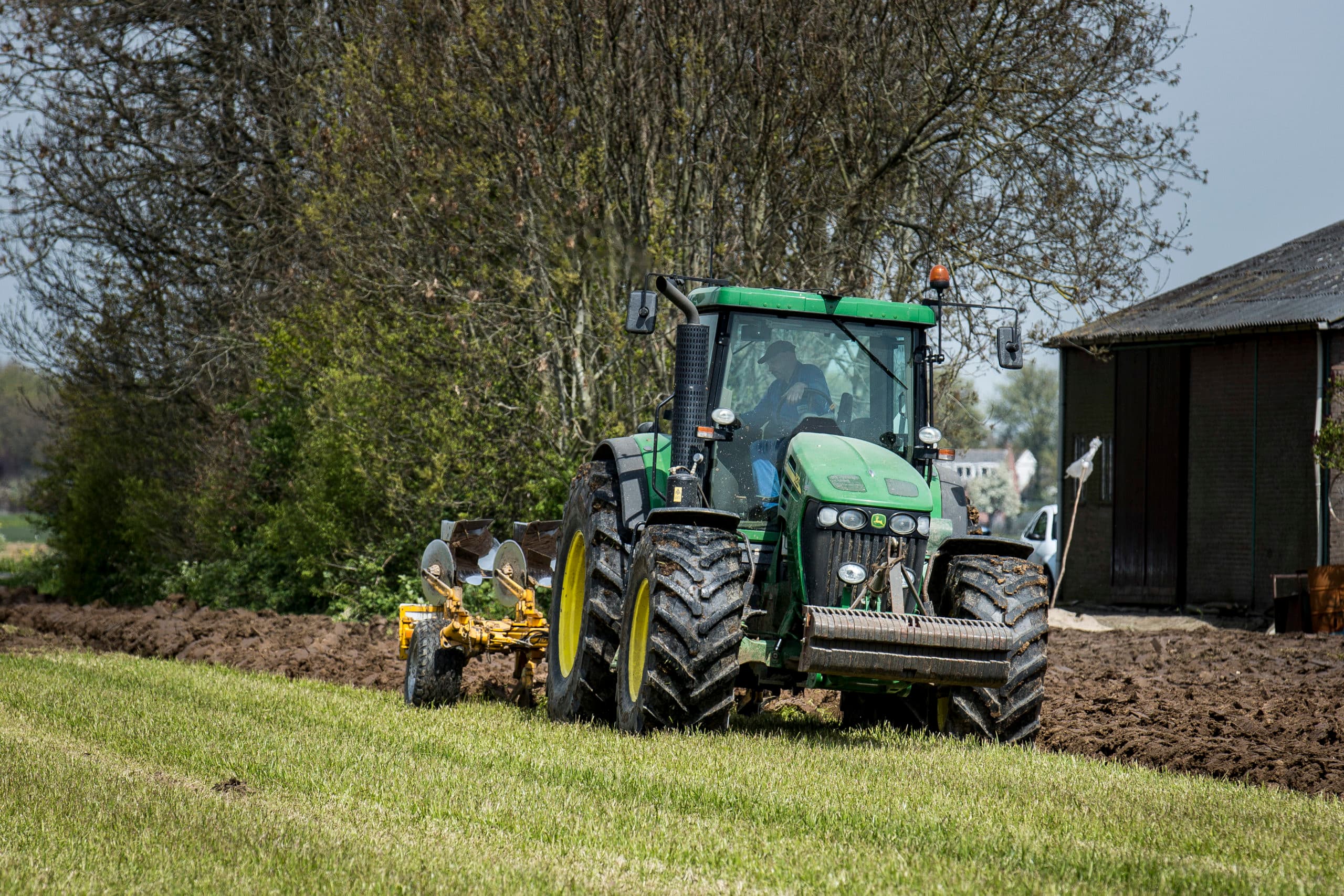 Raaigras wordt ondergeploegd. - Foto: Roel Dijkstra