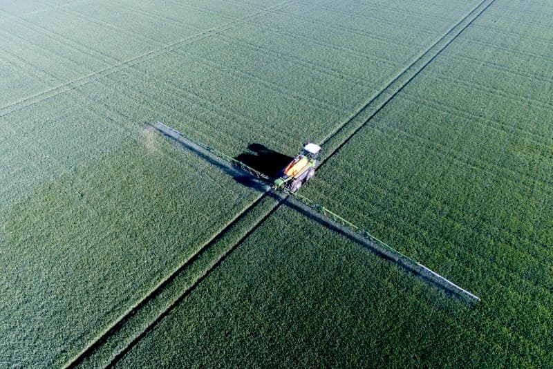 Co van den Dries schept Agria-consumptieaardappelen op. Deze gaan in kisten en zijn bestemd voor de boerderijwinkel van Dieleman in Emmeloord. Er zit nog ongeveer 400 ton die op korte termijn weggaat.
