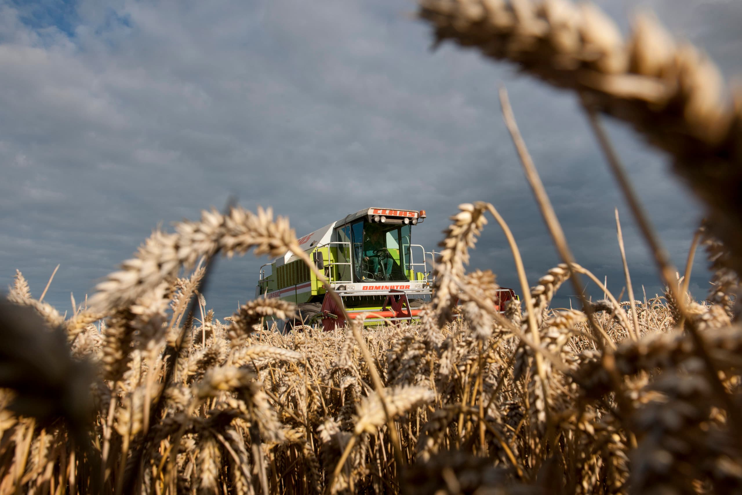 Veel burgers kijken naar de landbouw door een zwaar geromantiseerde bril en dat is gevaarlijk, zo zegt een Amerikaanse technologievoorvechtster. - Foto: Mark Pasveer
