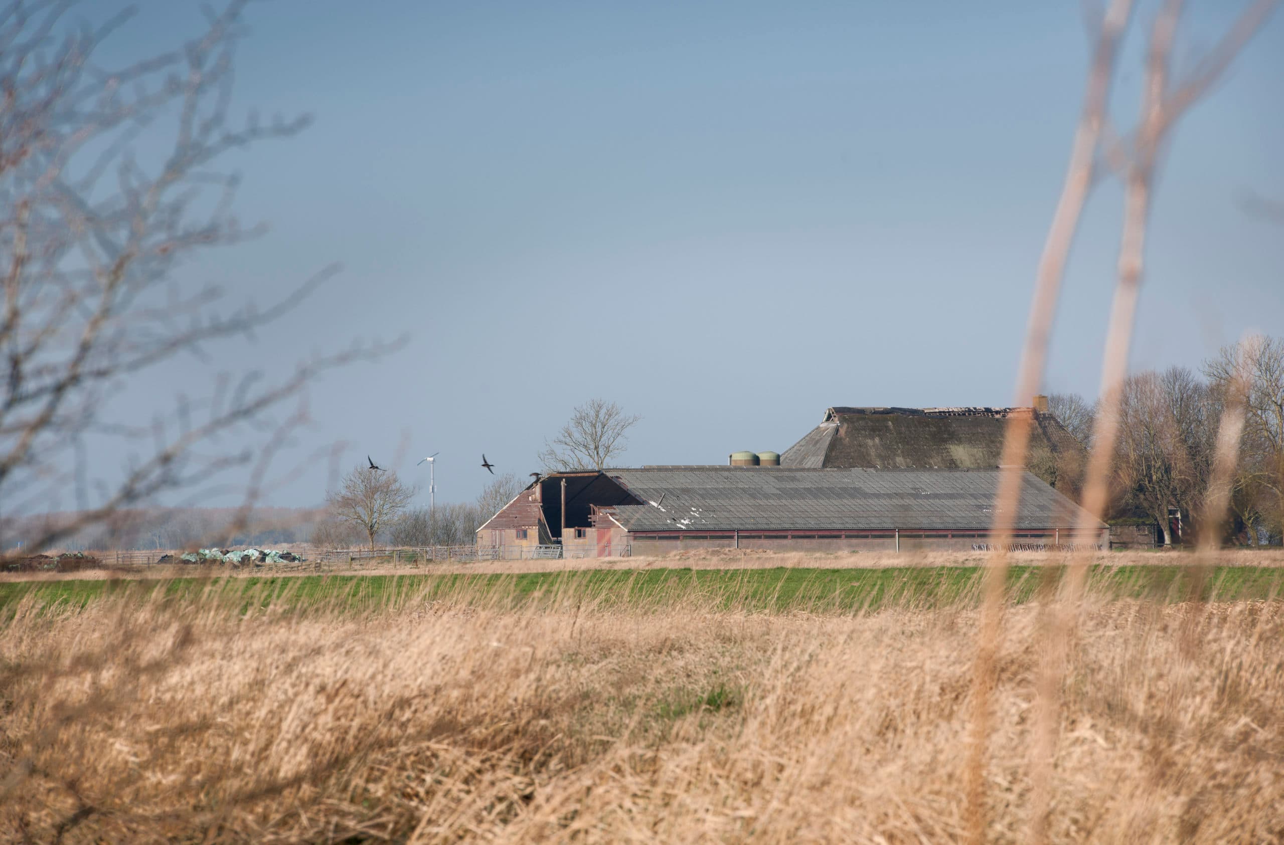 Foto: Mark Pasveer
