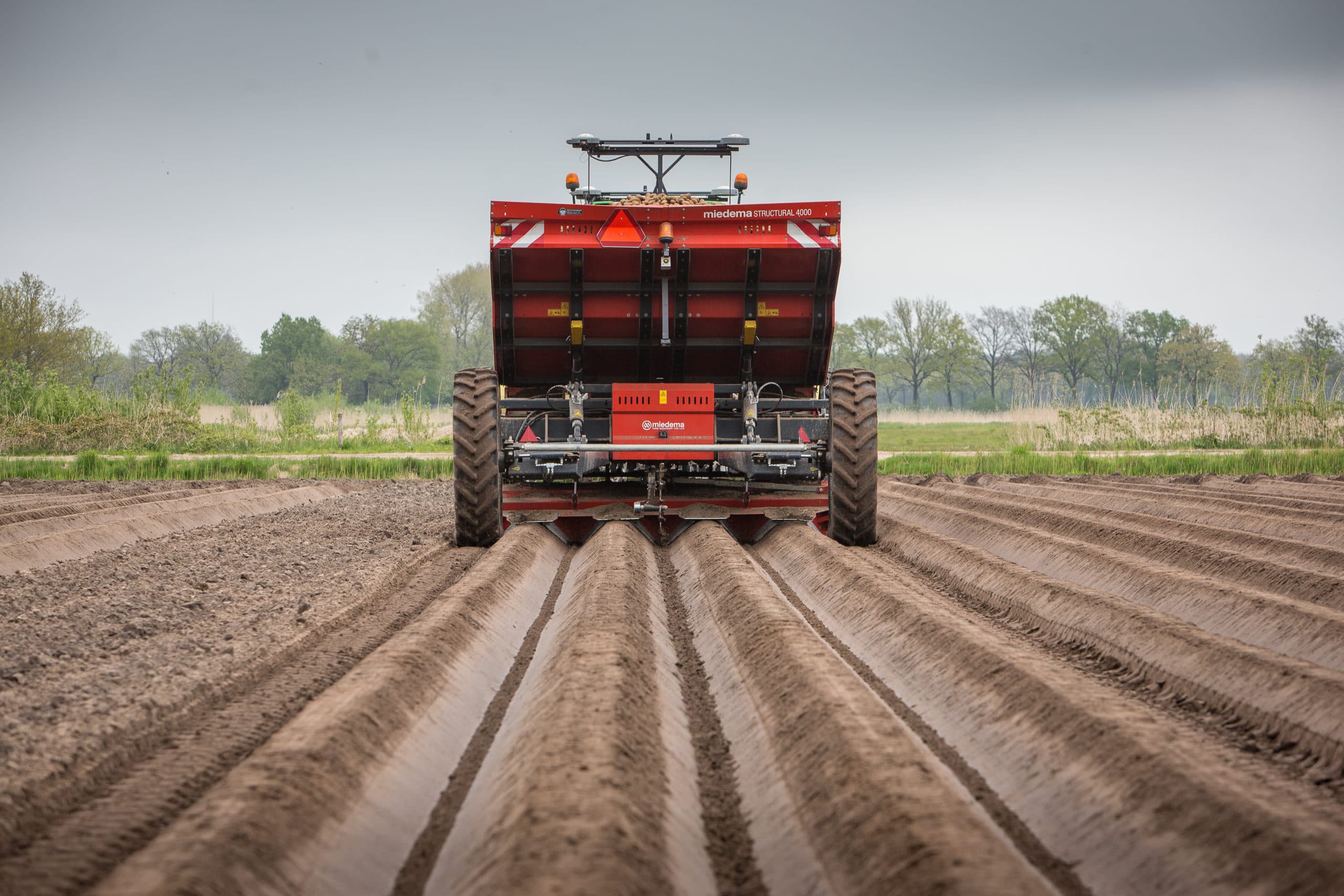 Foto: Peter Roek
