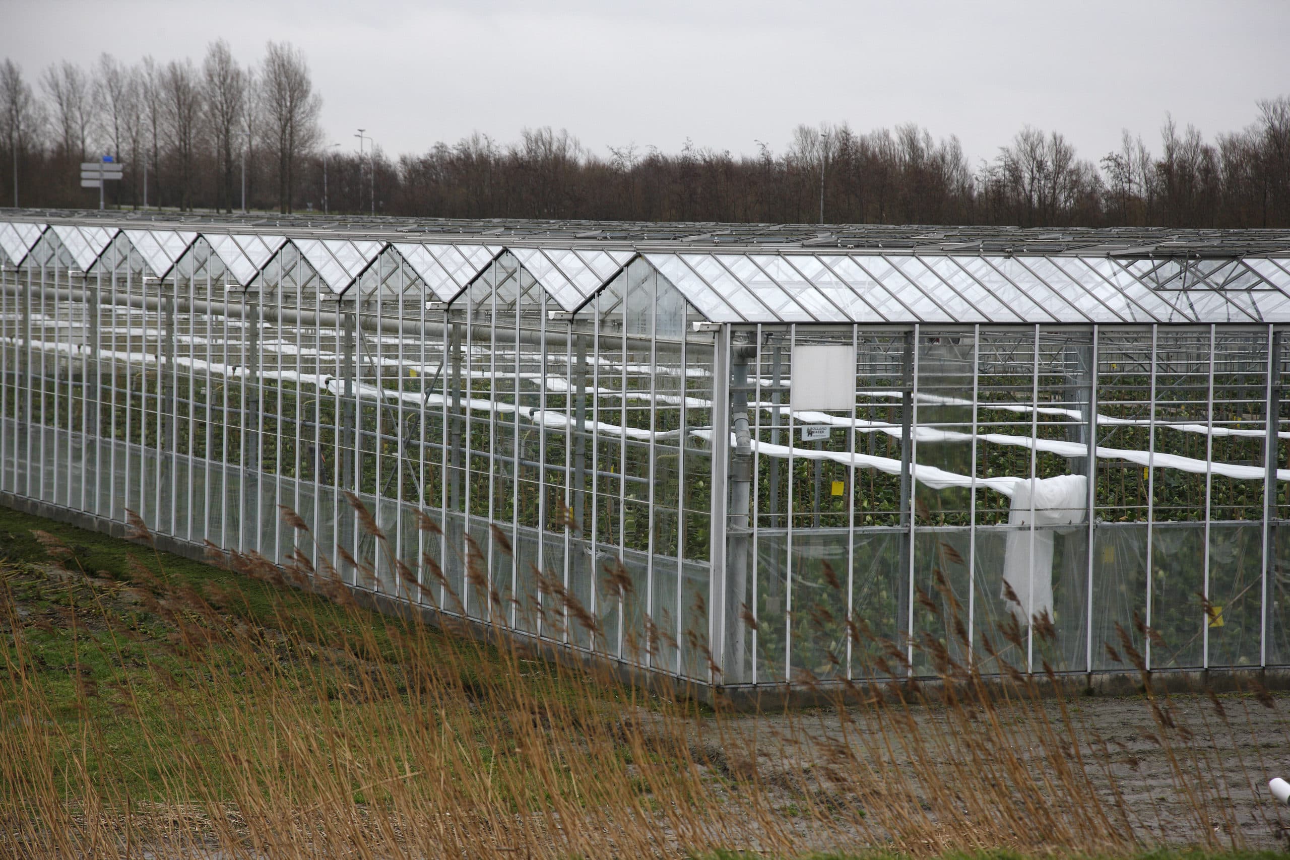 De glastuinbouw kan van het gas af.