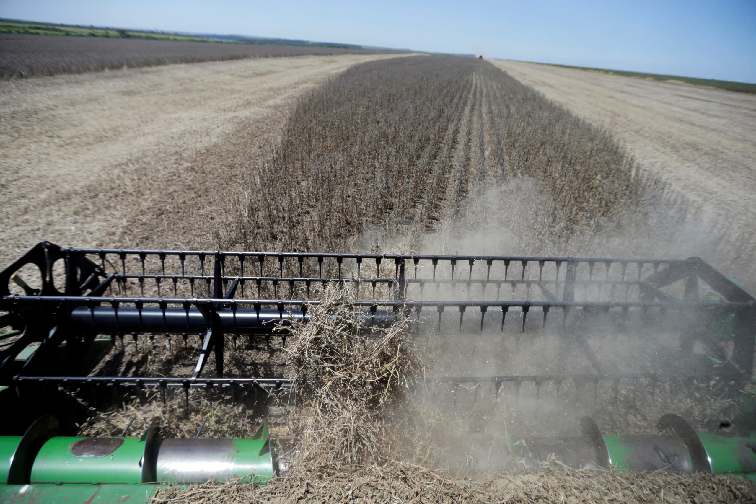 Oogst van soja in Paraguay in februari jongstleden. De grote wereldvoorraden tarwe, mais en sojabonden worden dit seizoen nauwelijks afgebouwd. - Foto: Reuters
