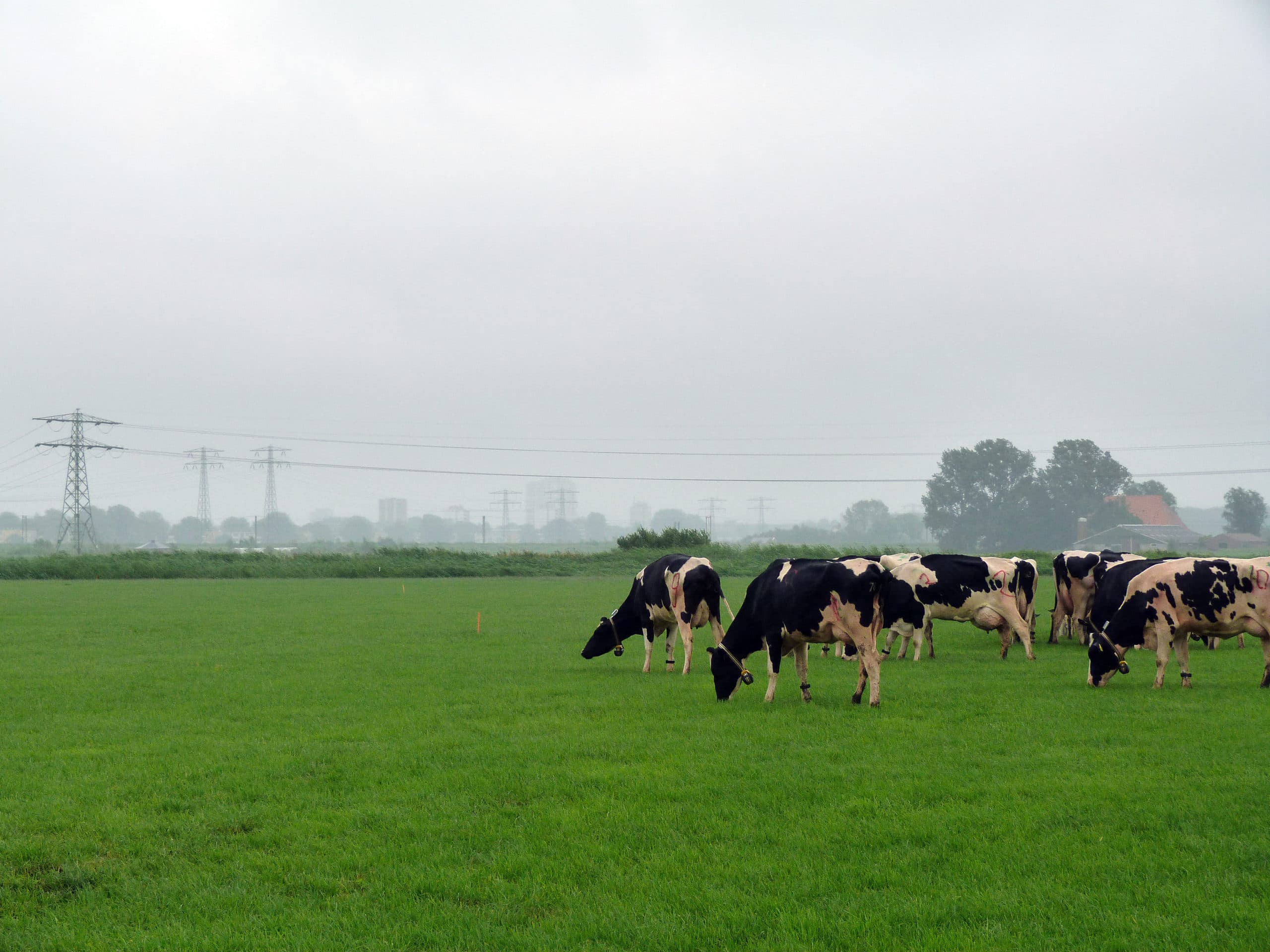 Foto: Wageningen UR Livestock Research