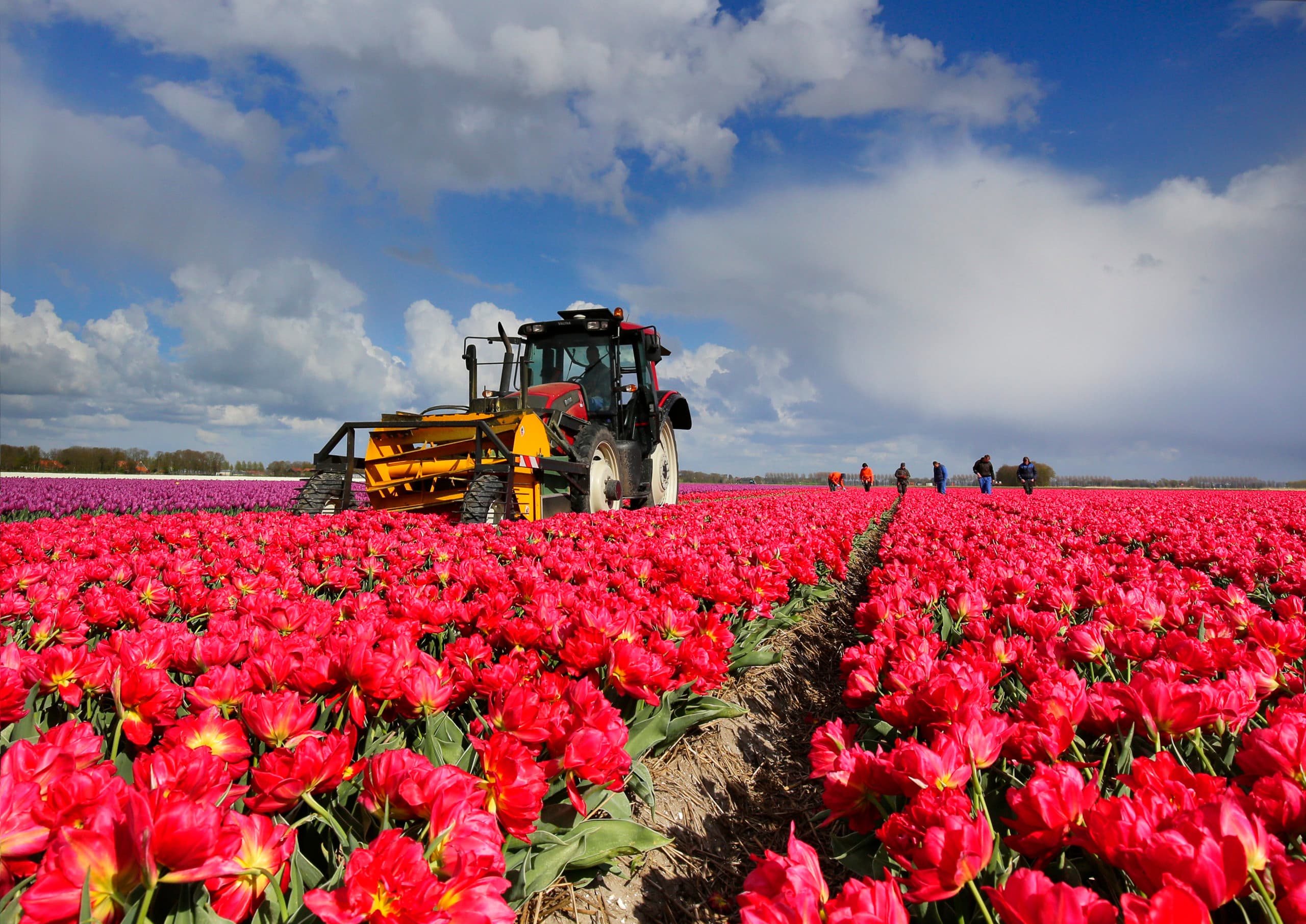 Foto: Ruud Ploeg