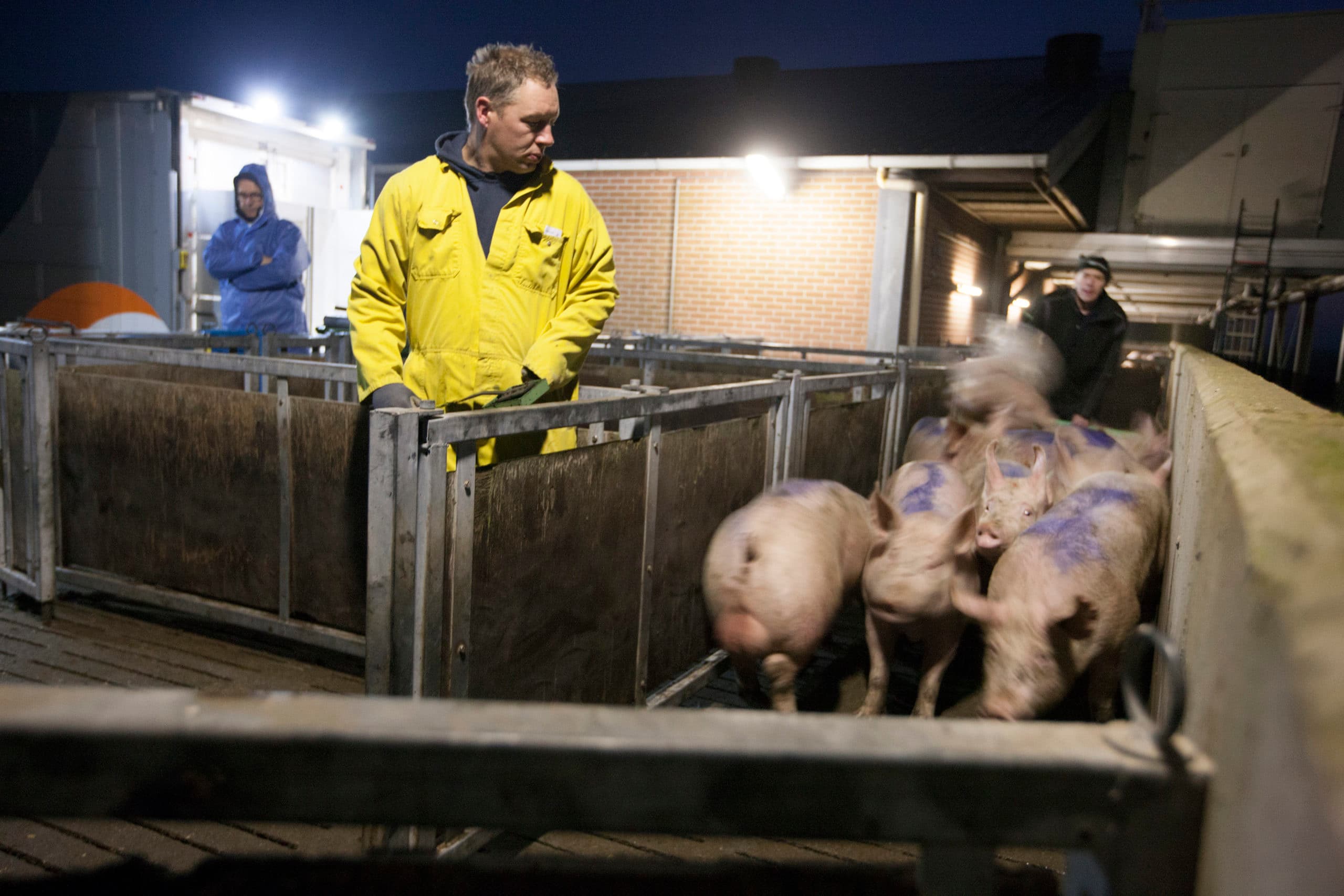 Foto: Hans Banus