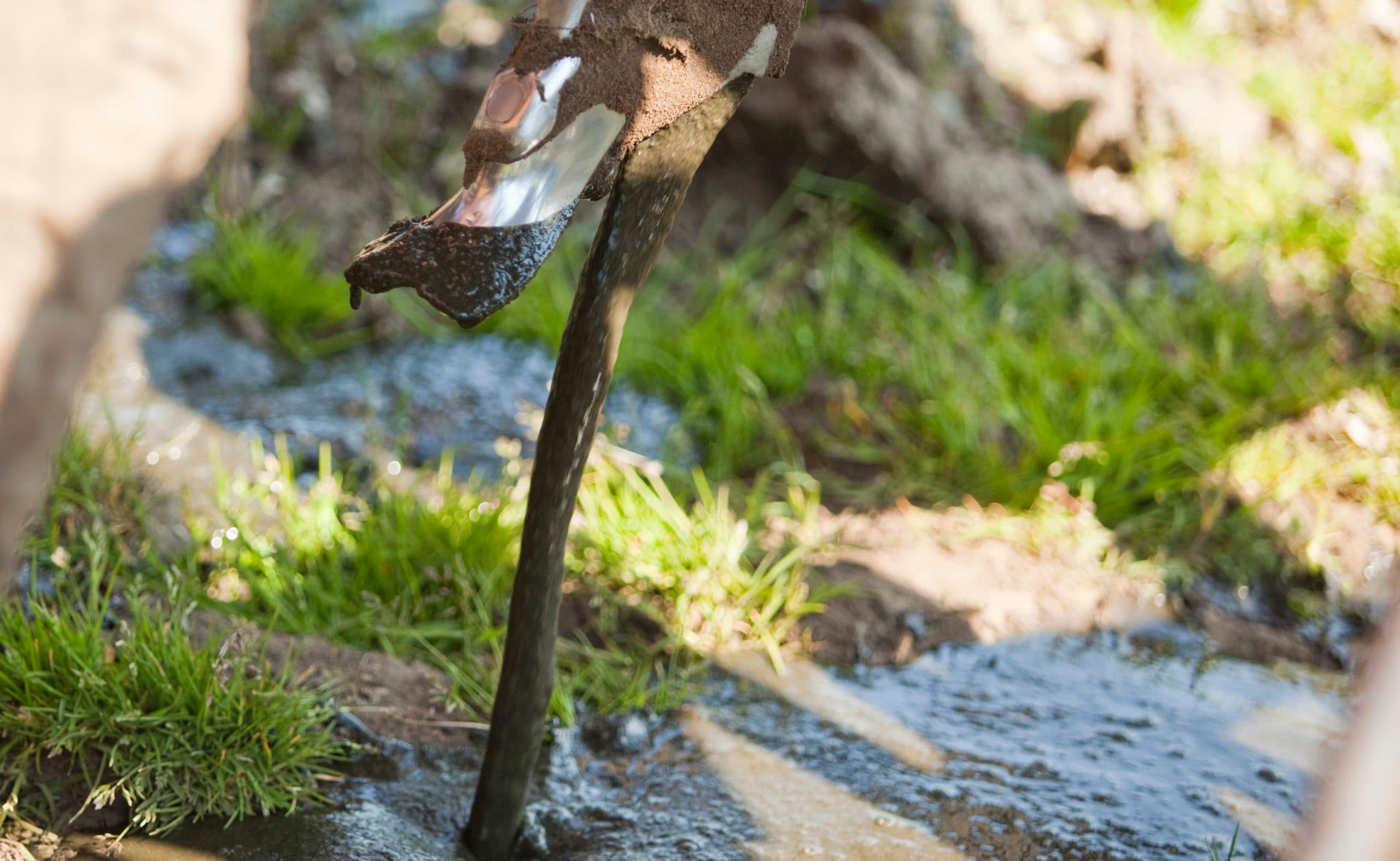 Foto: Jan Willem Schouten