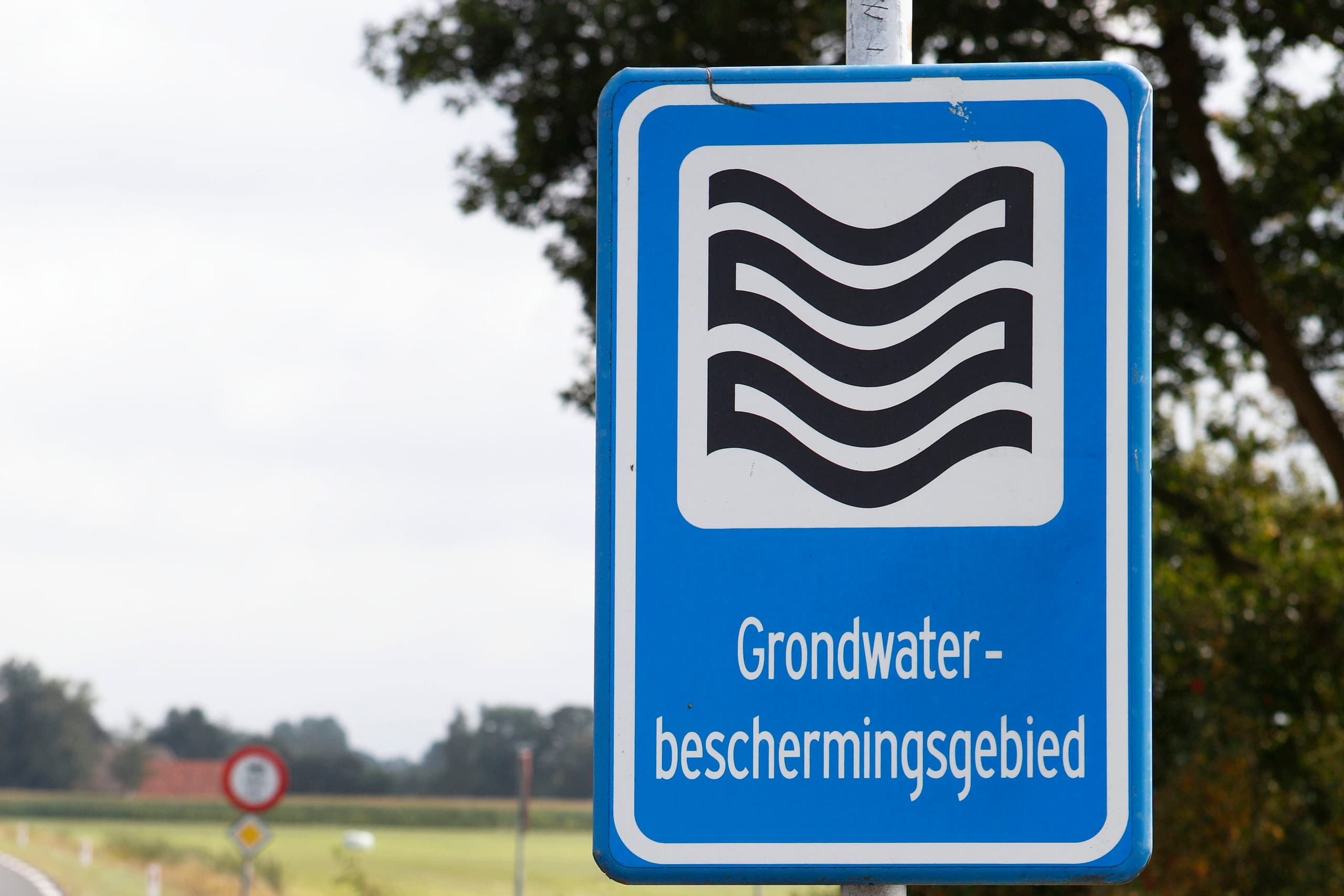 Foto: Hans Prinsen
