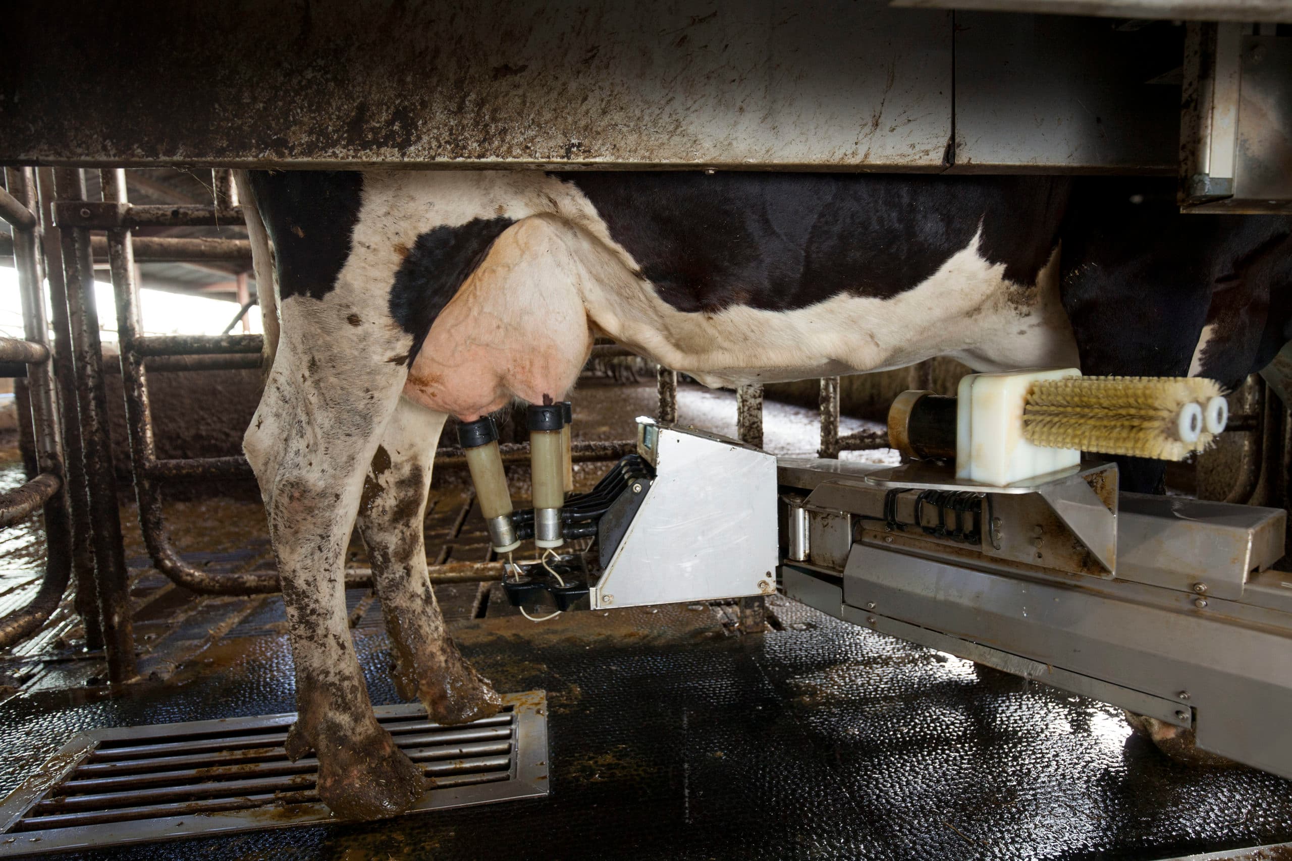Foto: Jan Willem Schouten