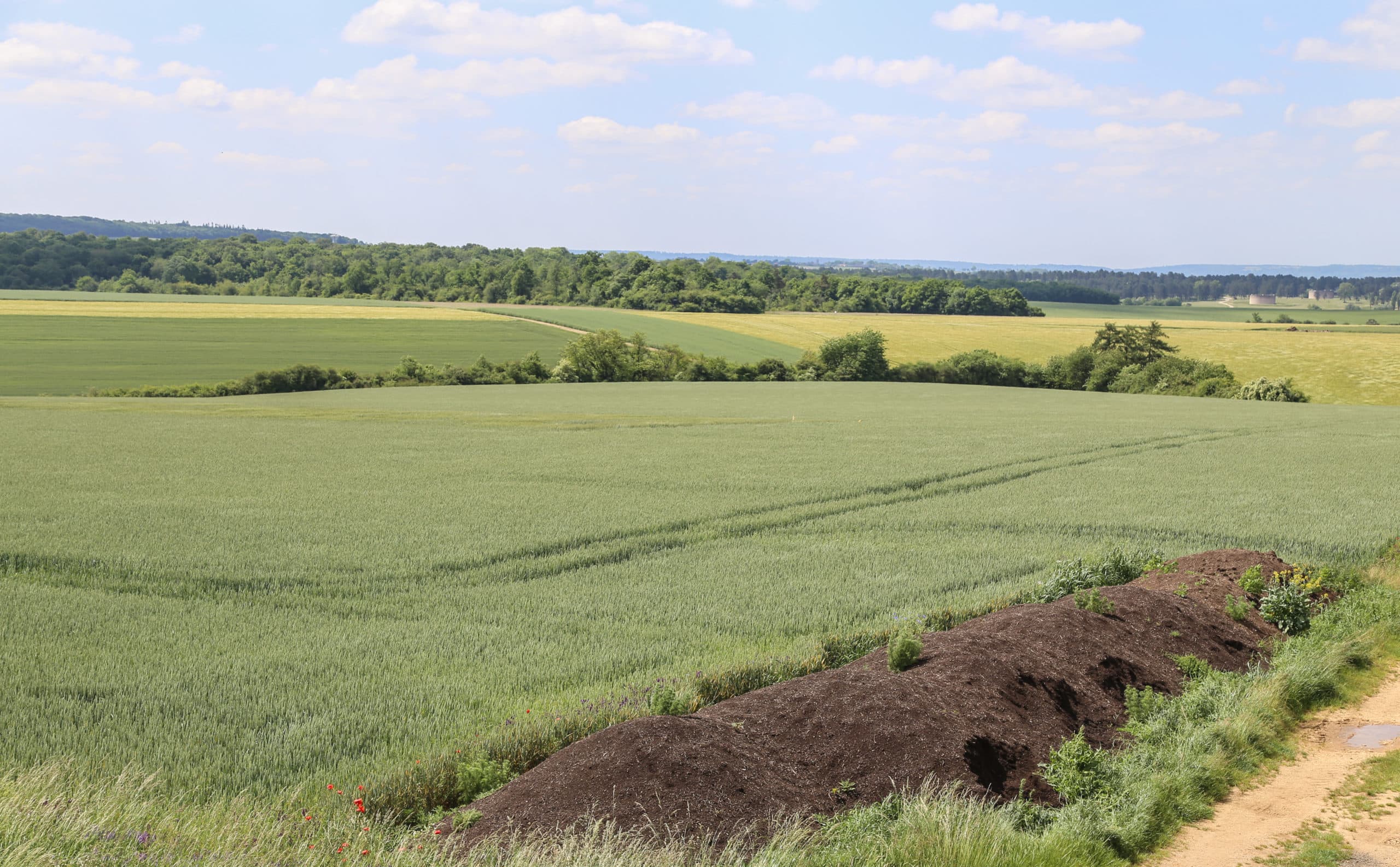 Graan in Frankrijk. - Foto: Matthijs Verhagen