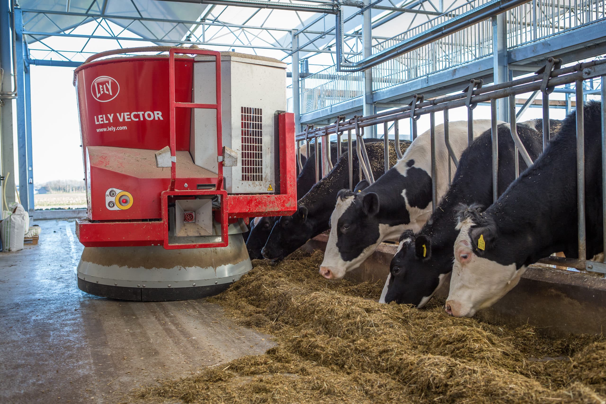 Lely-voerrobot aan het werk op melkveebedrijf. - Foto: Peter Roek