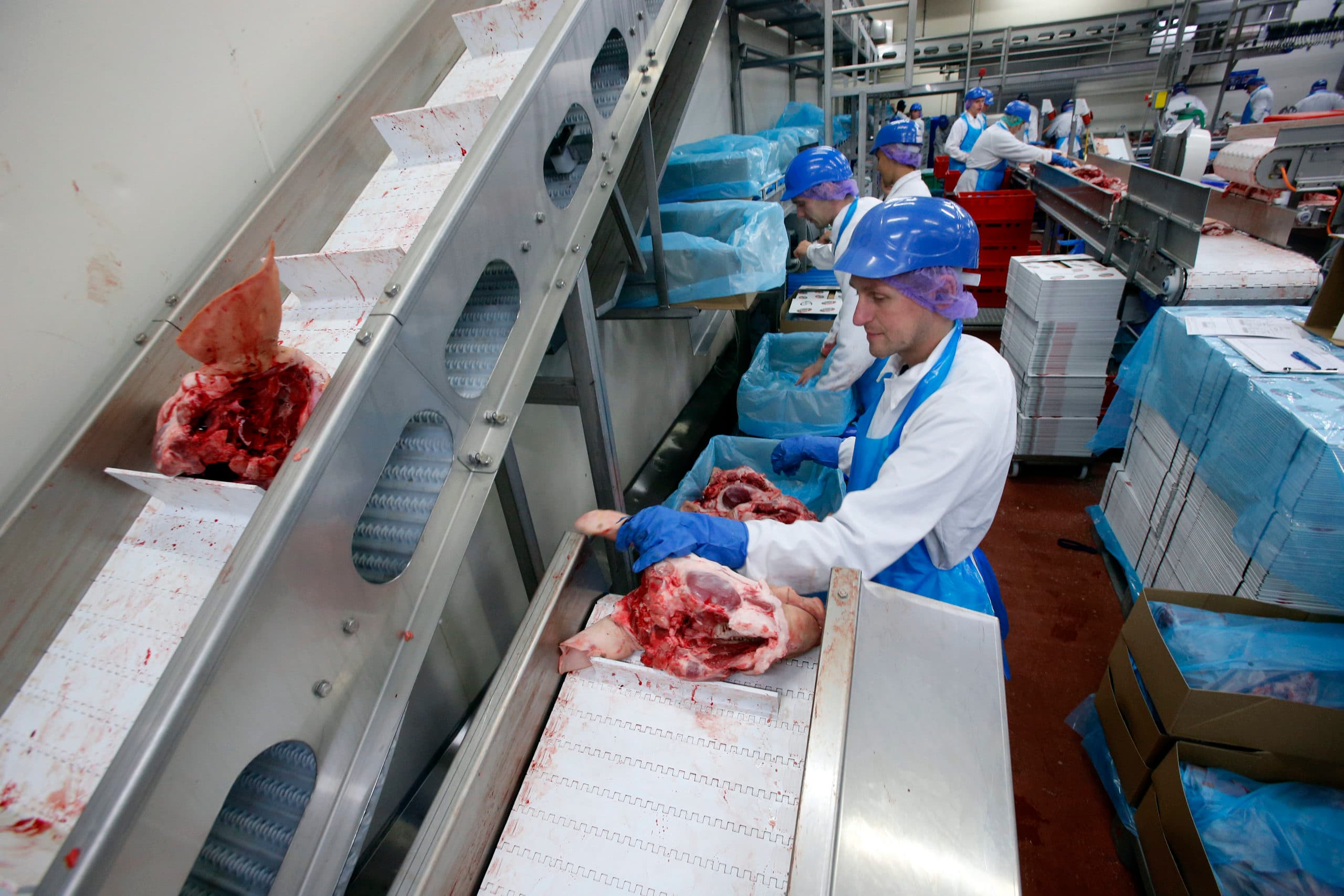 Inpakken van vlees voor export. - Foto: Bert Jansen