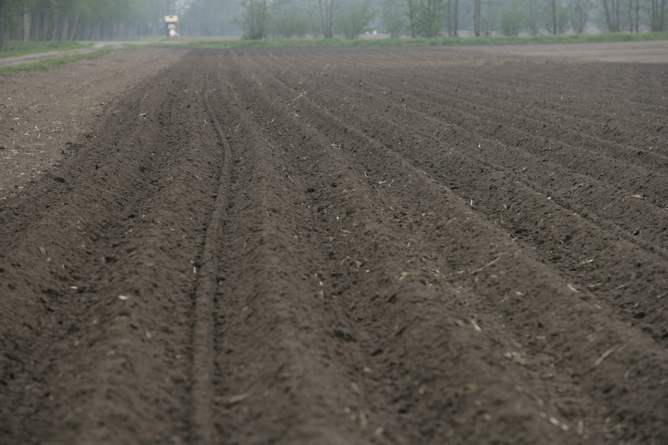 Foto: Jan Willem Schouten